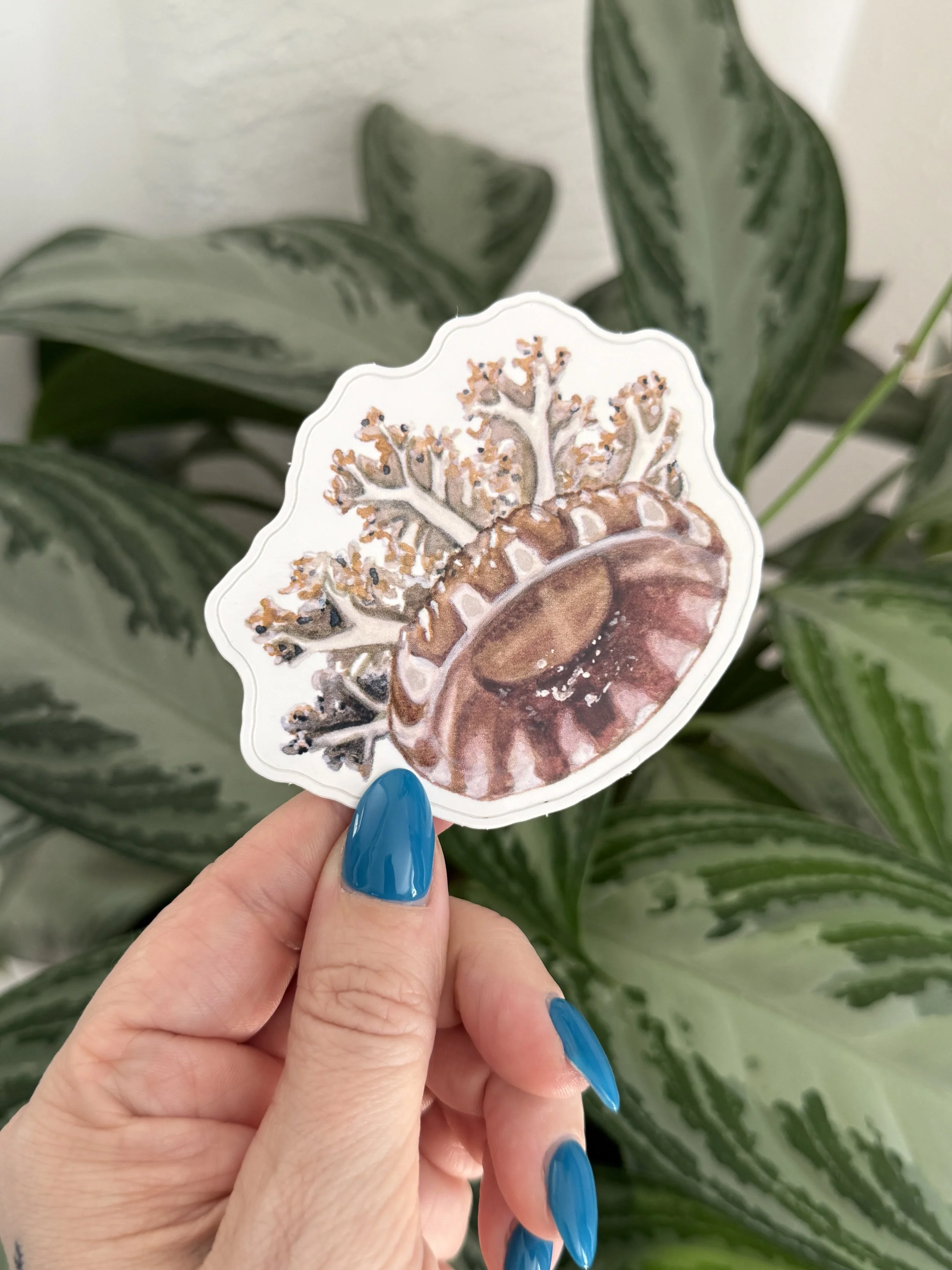 Upside-down Jellyfish Sticker