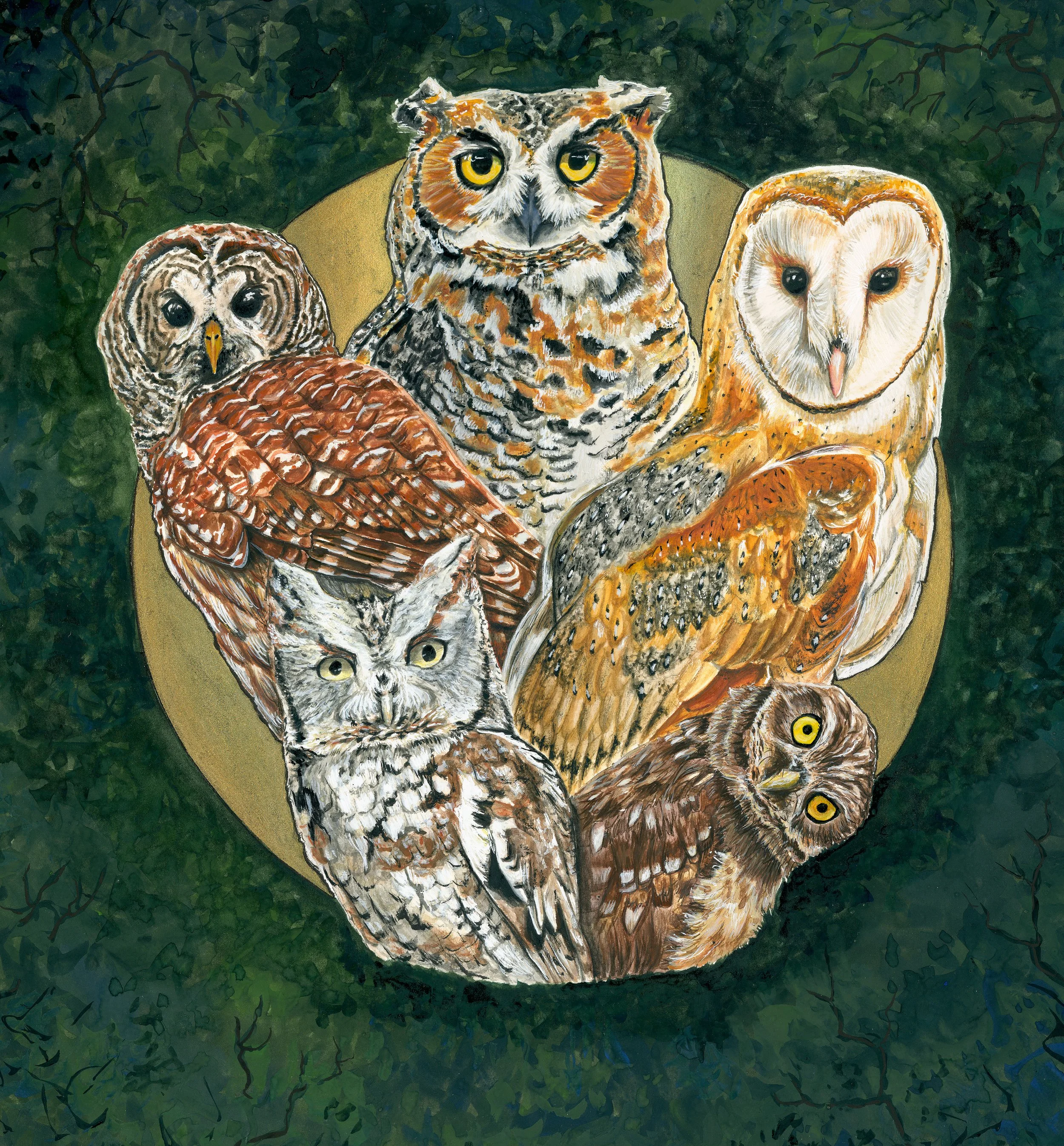 "Night Owls", 12x12", Gouache on Hot Press Paper with Gold Ink Highlight
