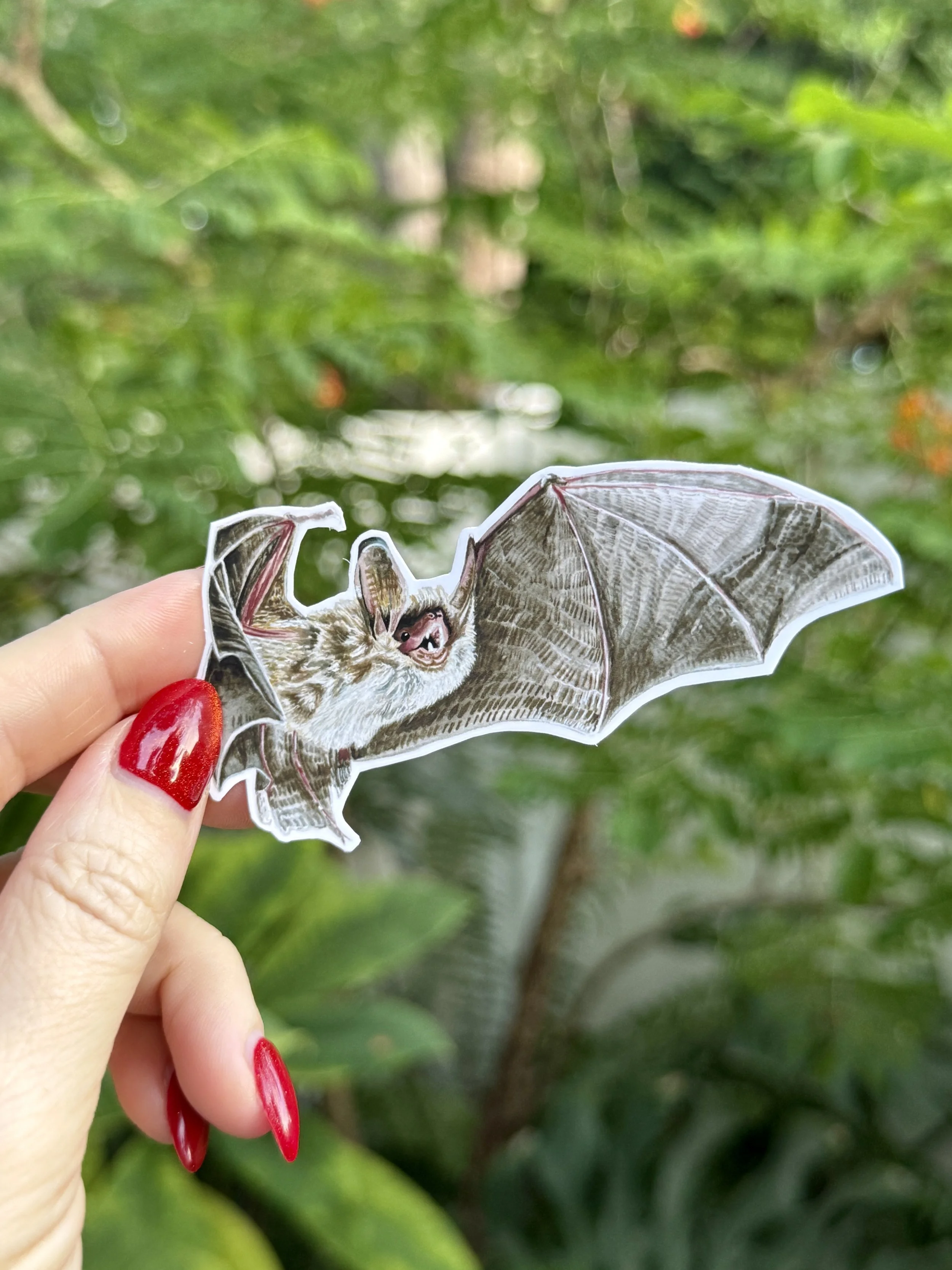 Southeastern Myotis Bat Sticker