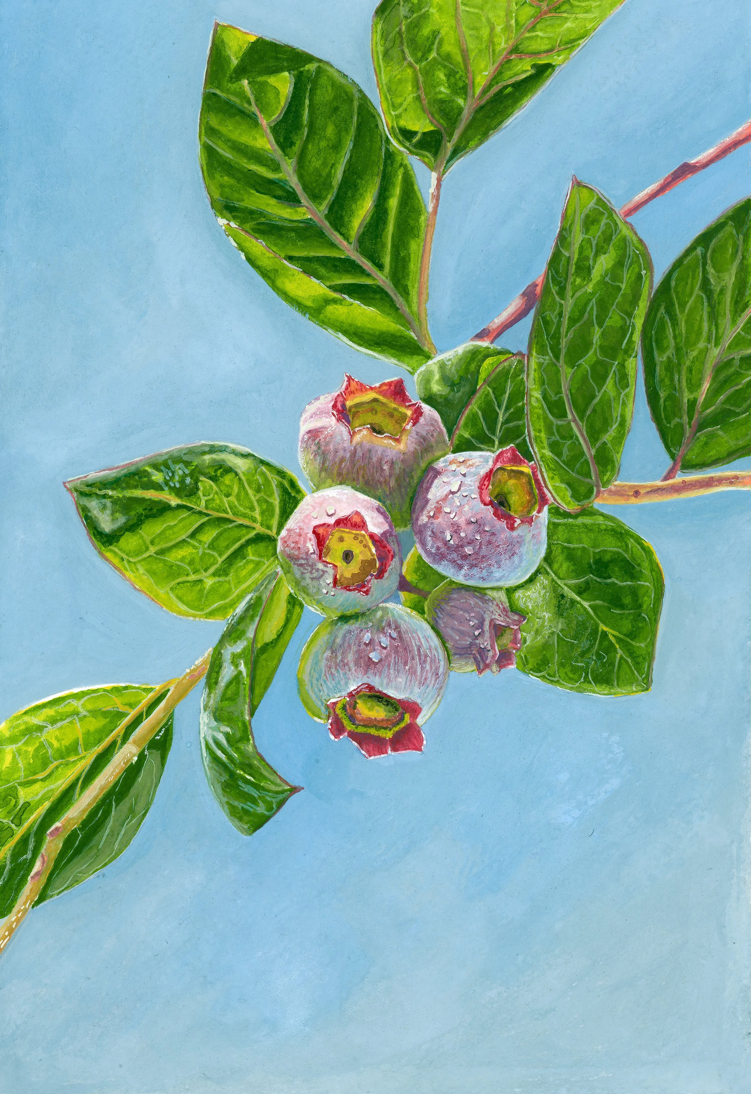 Pale Blush Original Gouache Painting - Frame and Mat INCLUDED