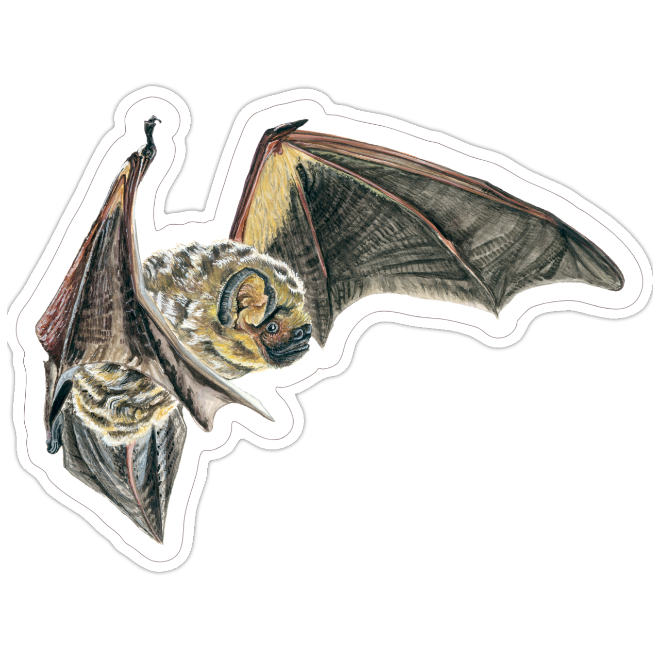 IMG_1457.PNG
