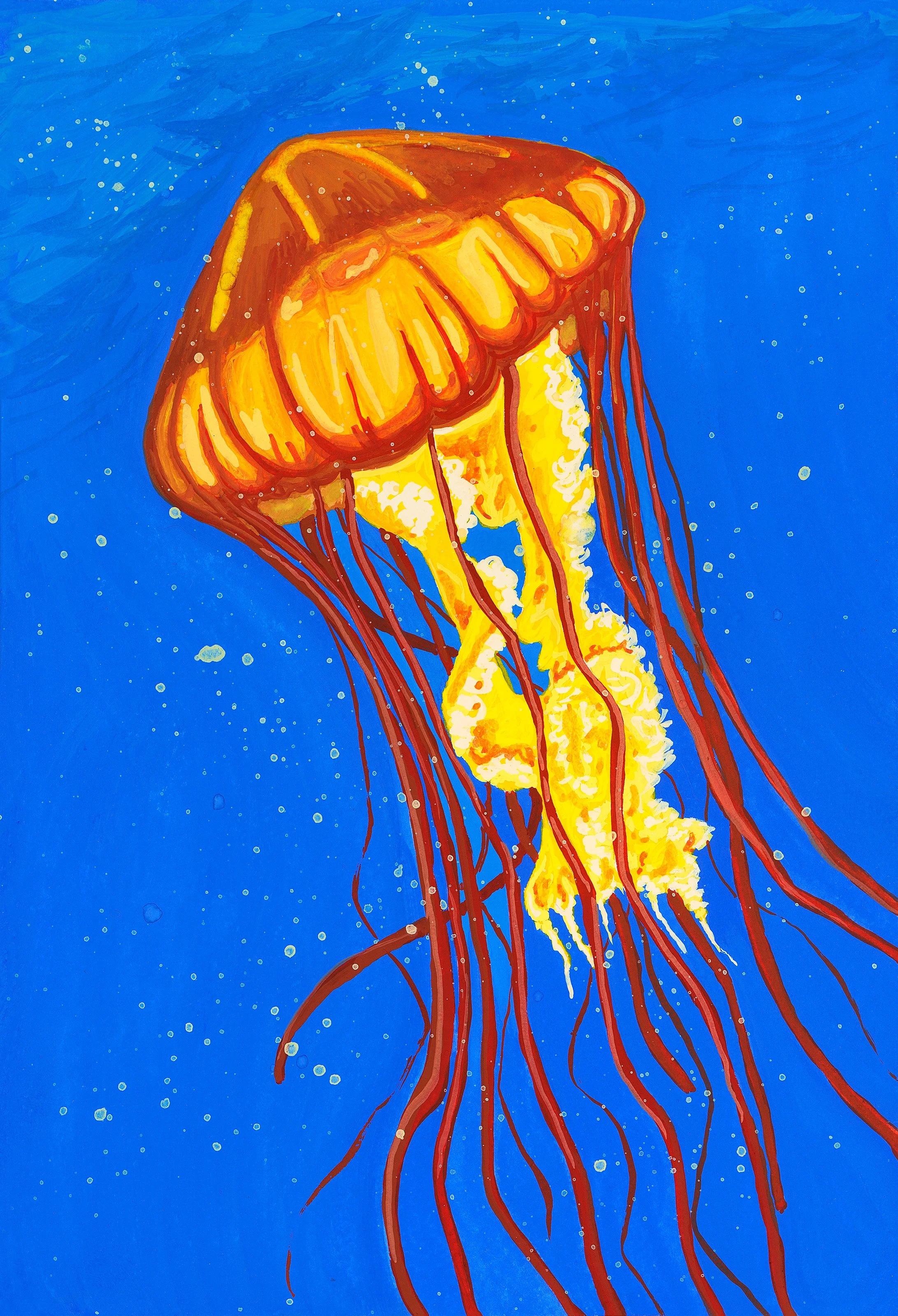 'Pacific Sea Nettle', 5x7", Gouache on Cold Press Paper