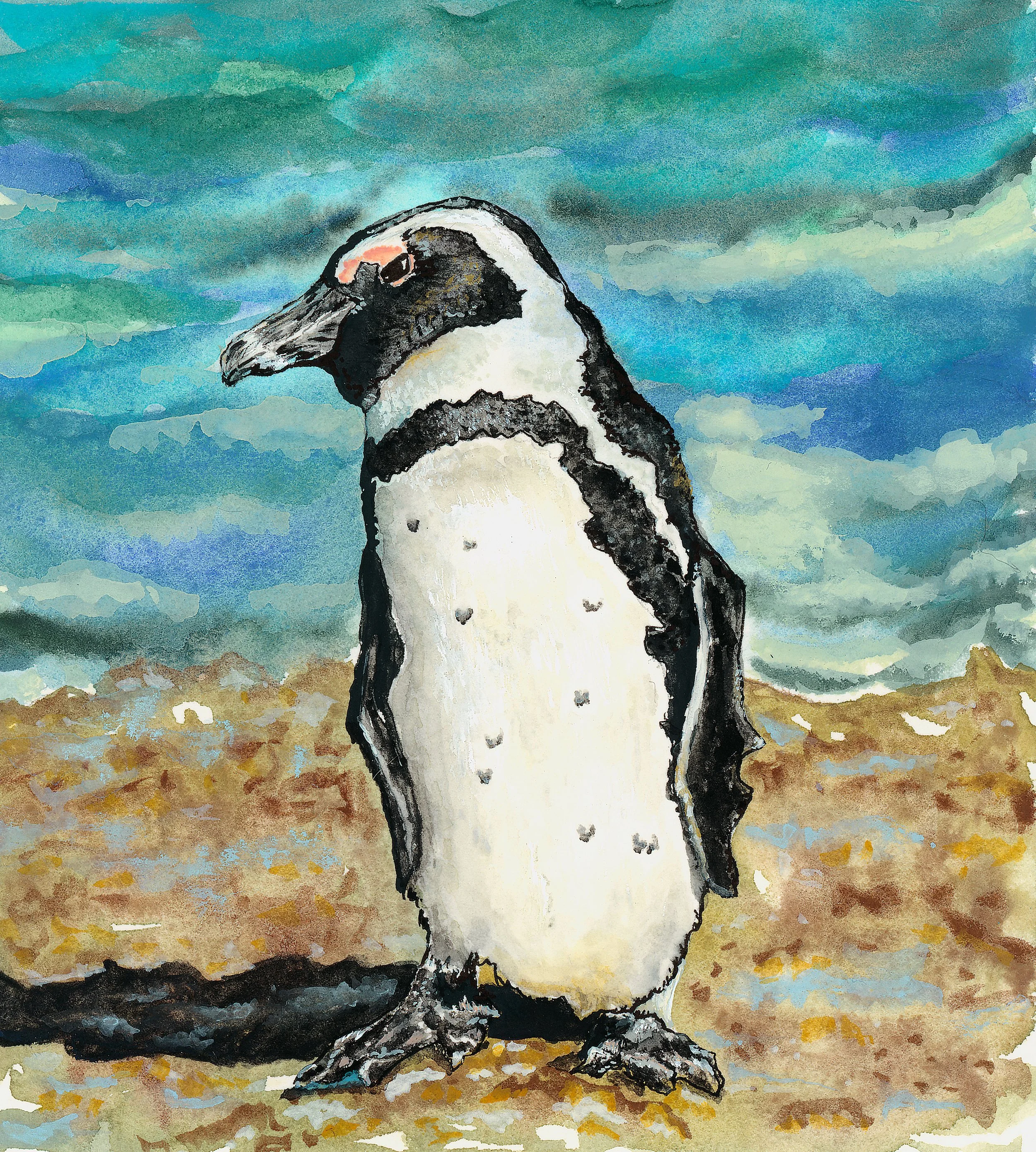 'African Banded Penguin', 4.5x4.5", Watercolor and Gouache on Hot Press Paper