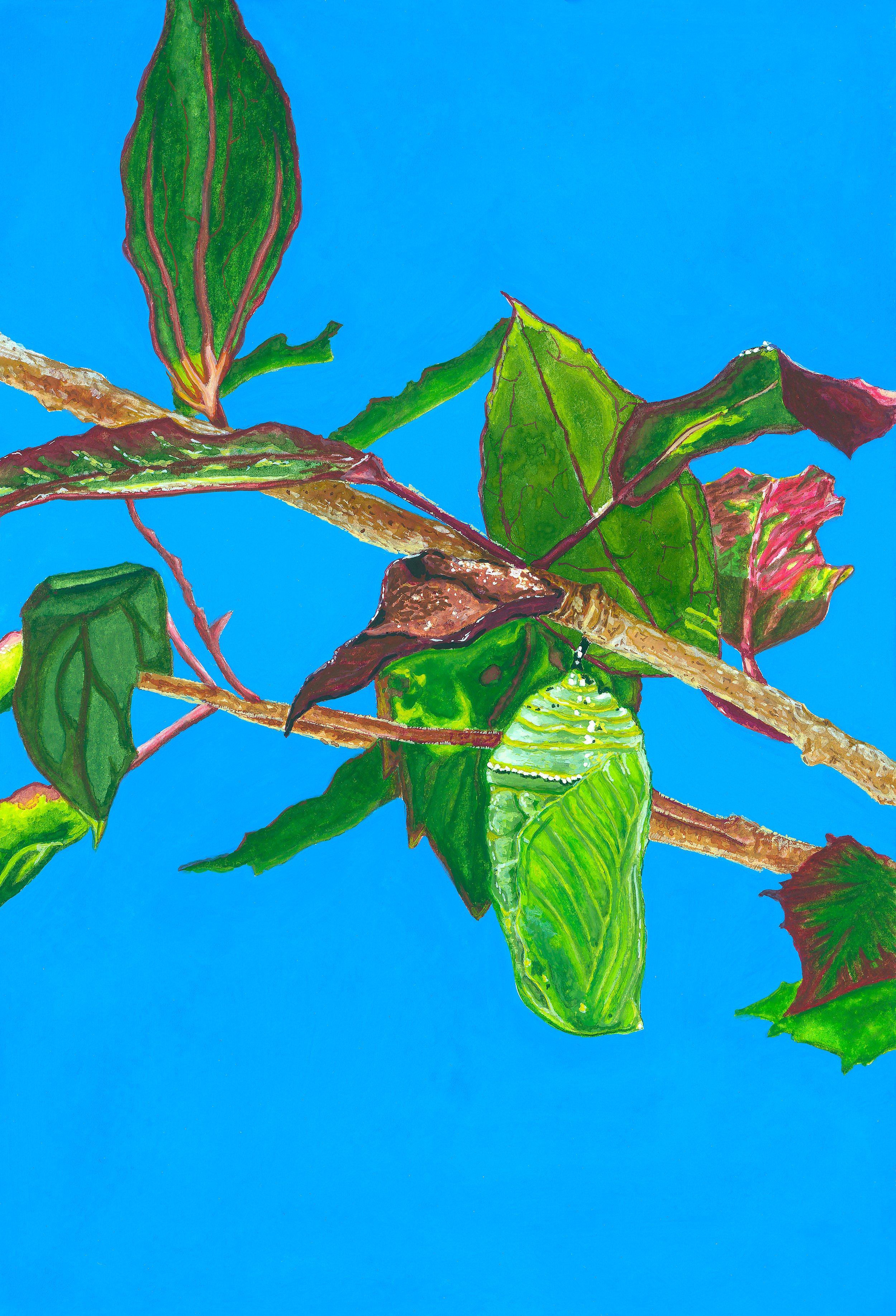 Chrysalis Original Gouache Painting - Frame and Mat INCLUDED