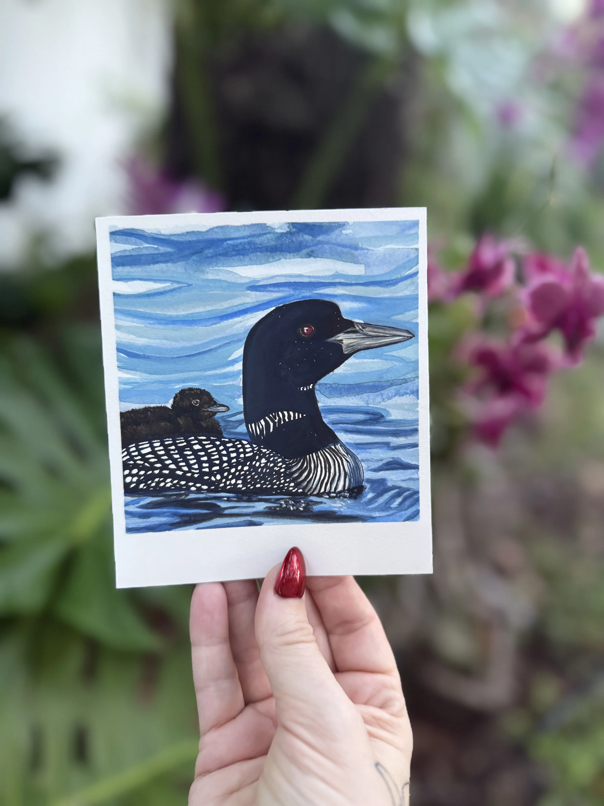 Common Loon with Chick Art Print