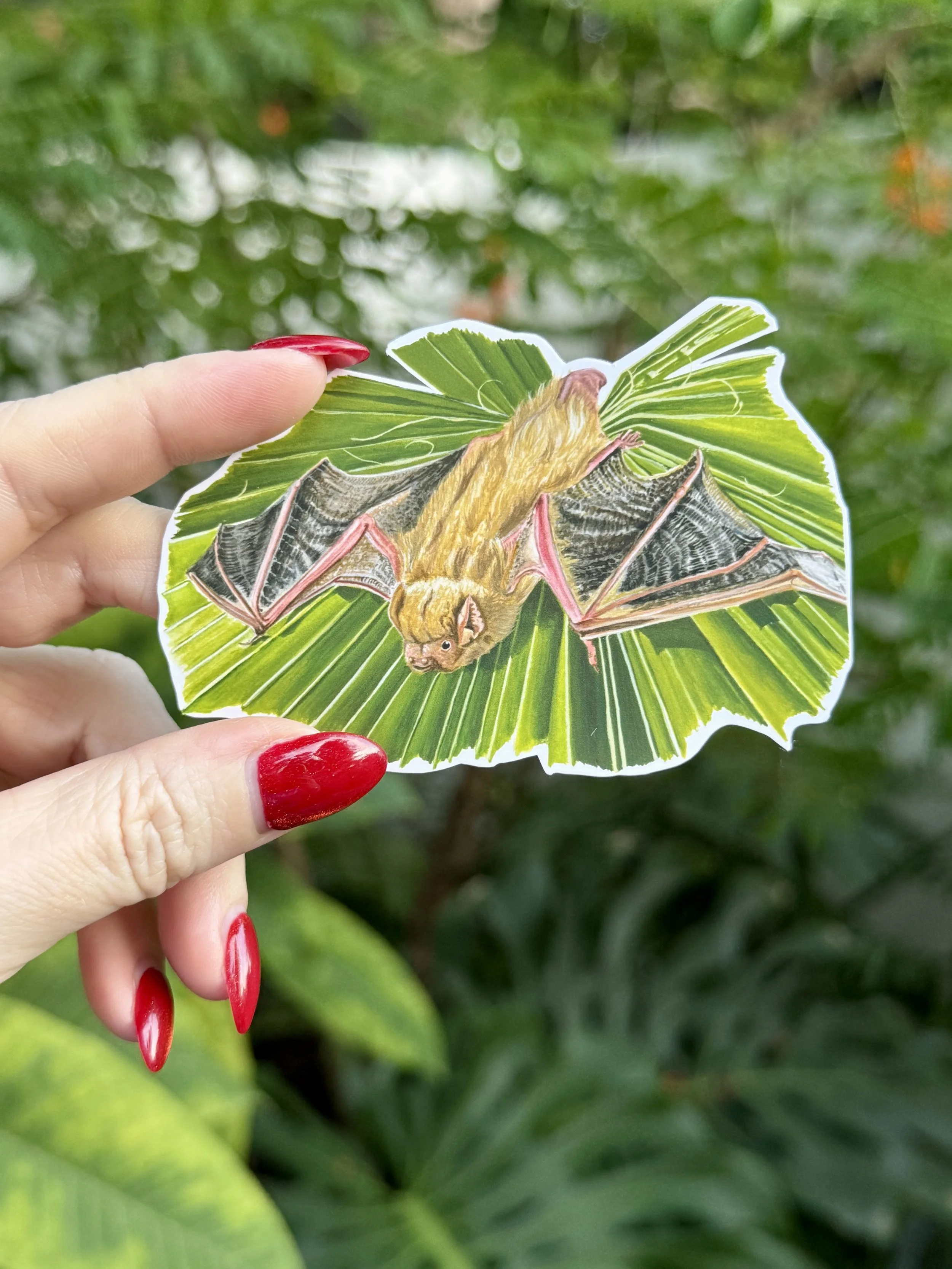 Northern Yellow Bat Sticker