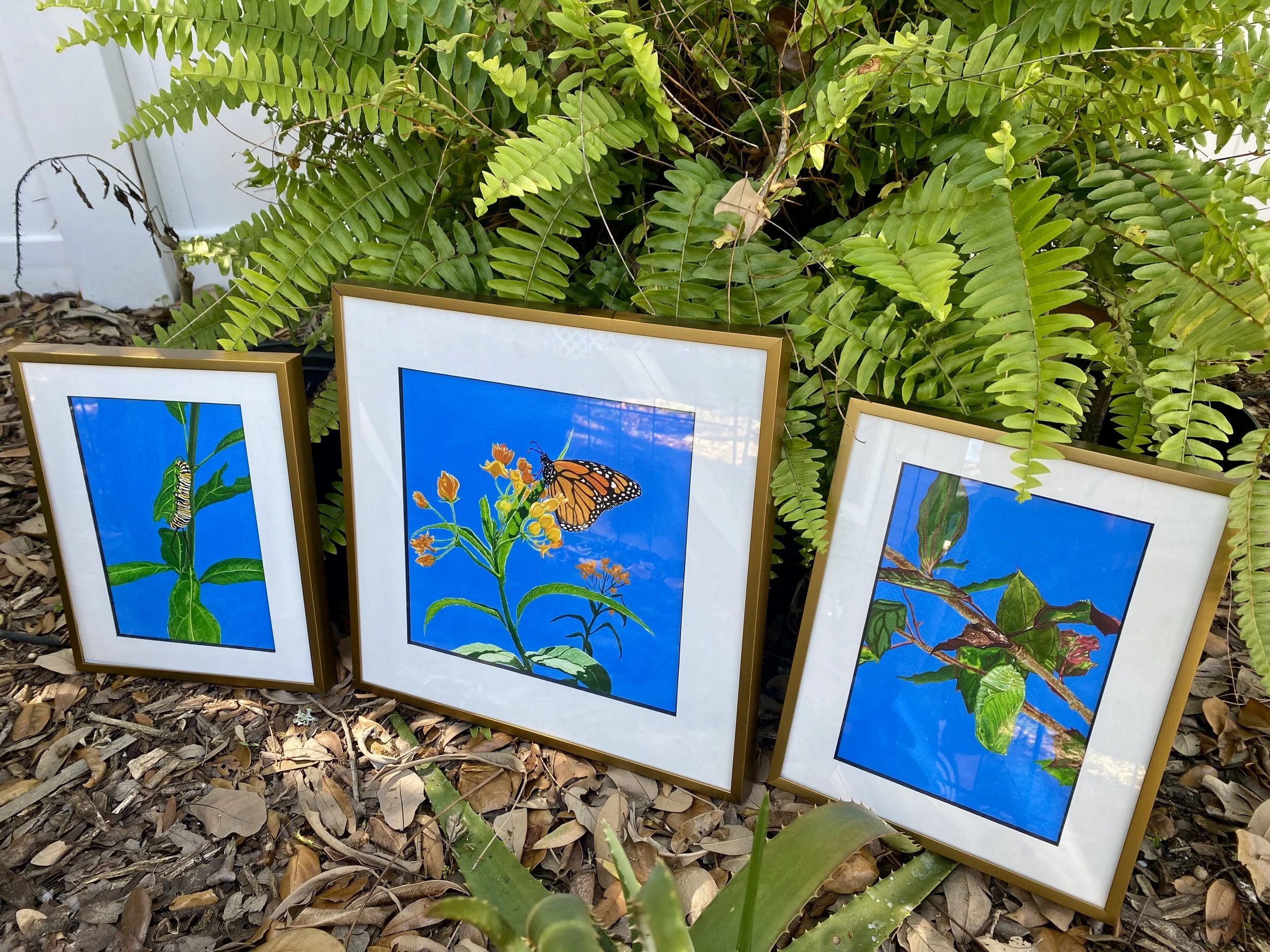 IMG_1802.jpeg (Copy) (Copy)