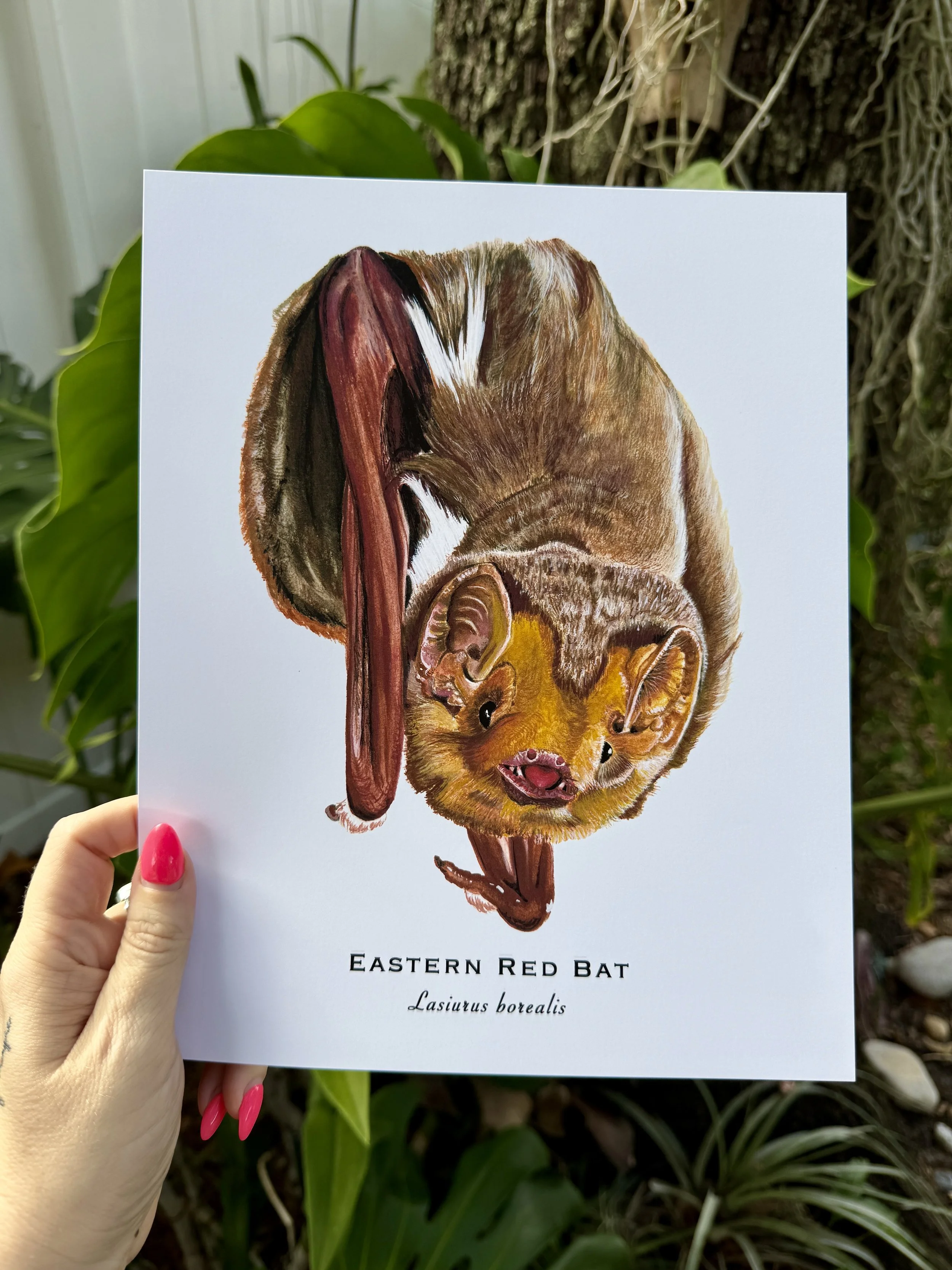 IMG_1551.jpg