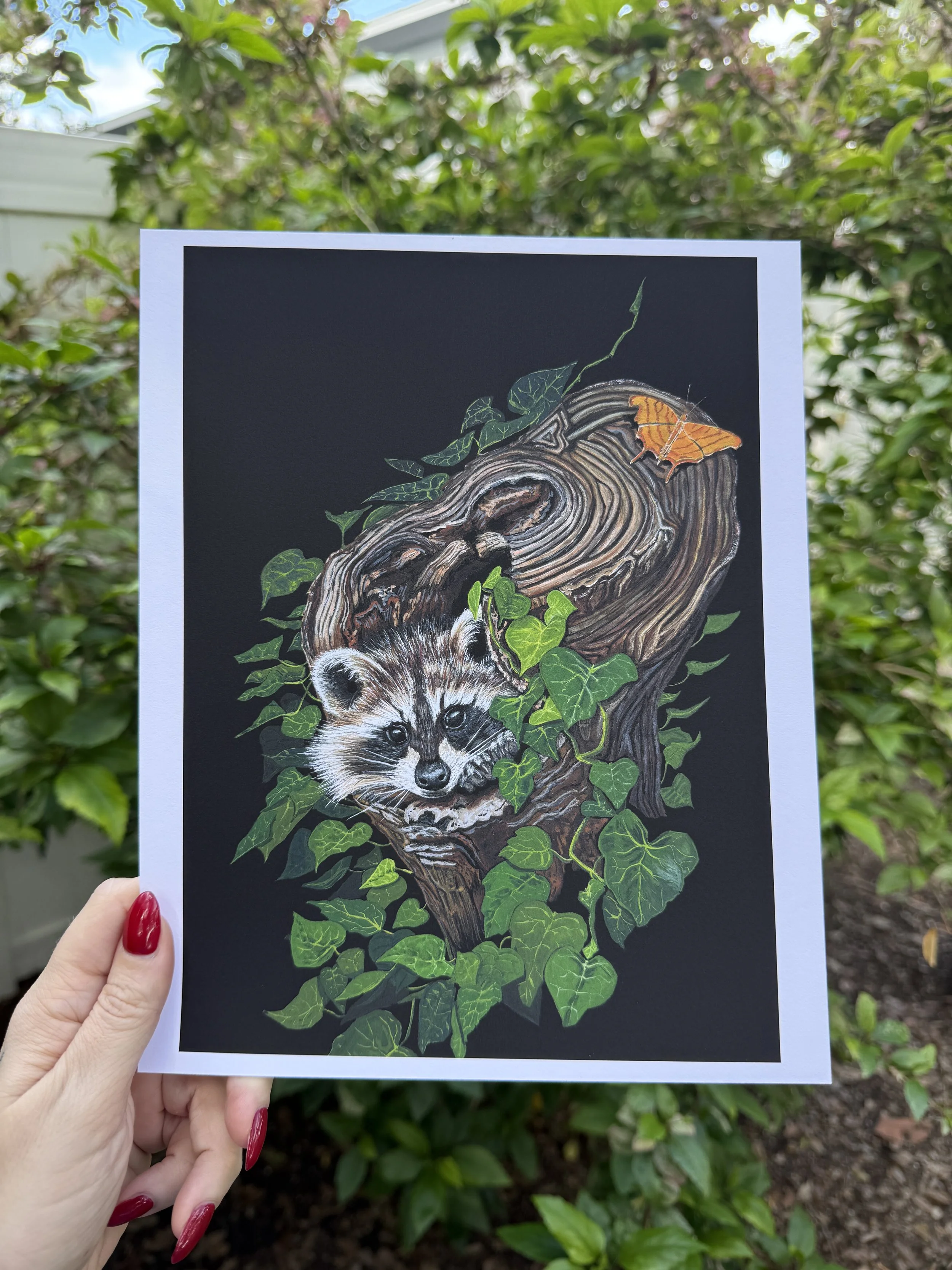 'The Hideout' Raccoon Art Print