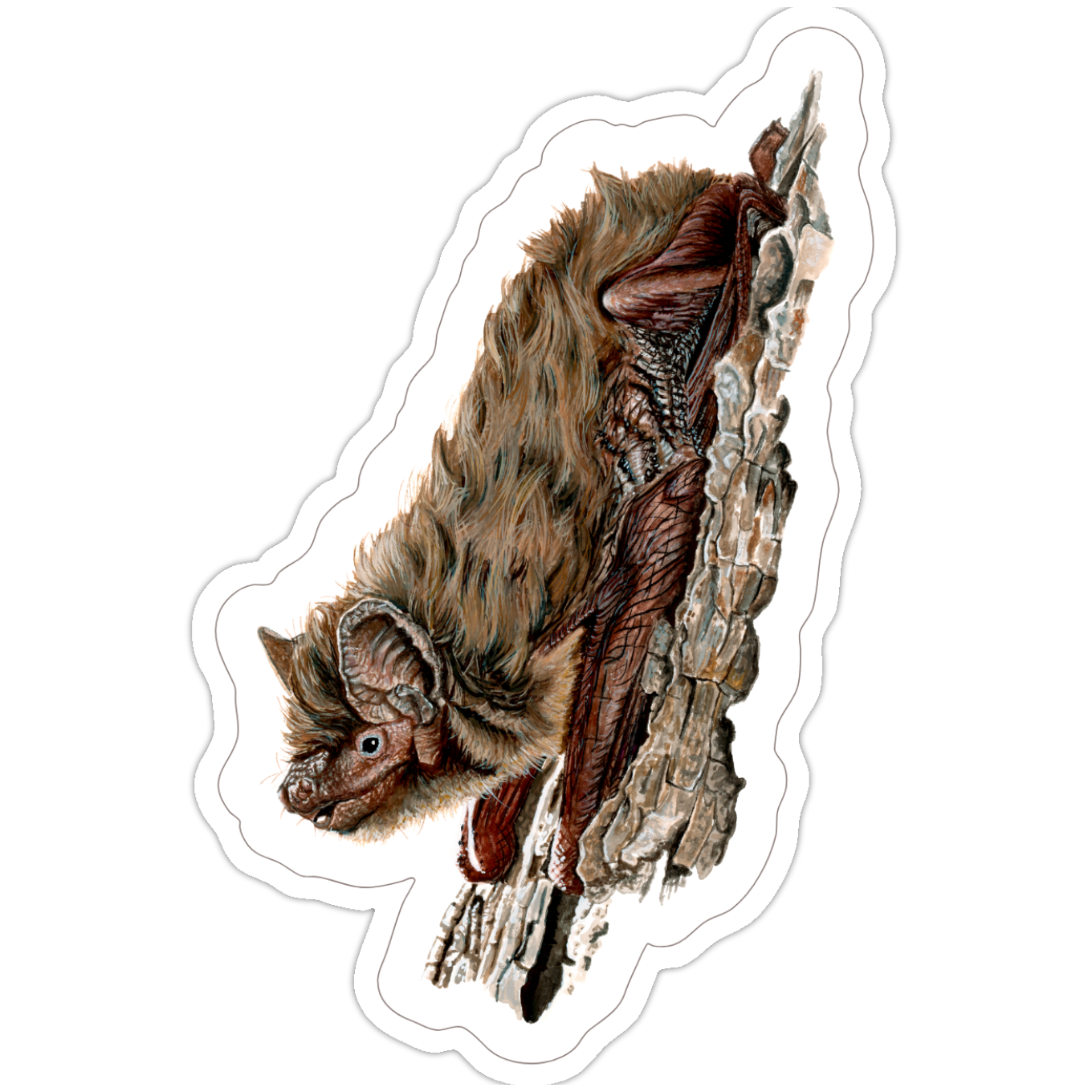 IMG_1456.PNG