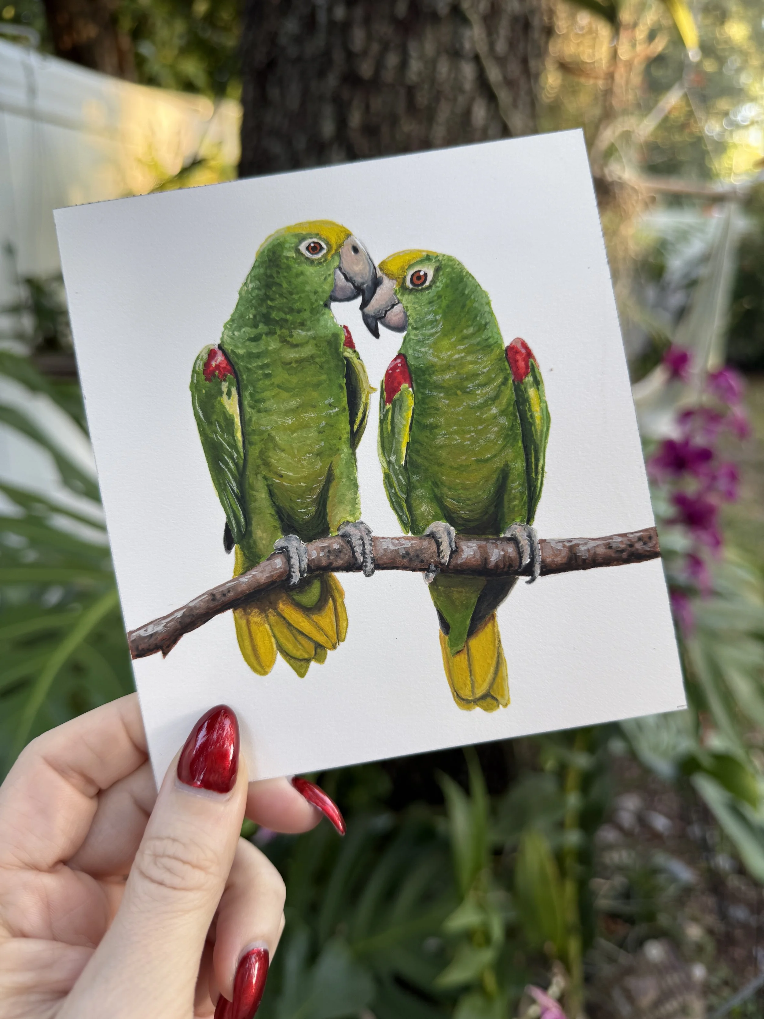 Yellow-Crowned Parrots Original Painting - Frame and Mat INCLUDED