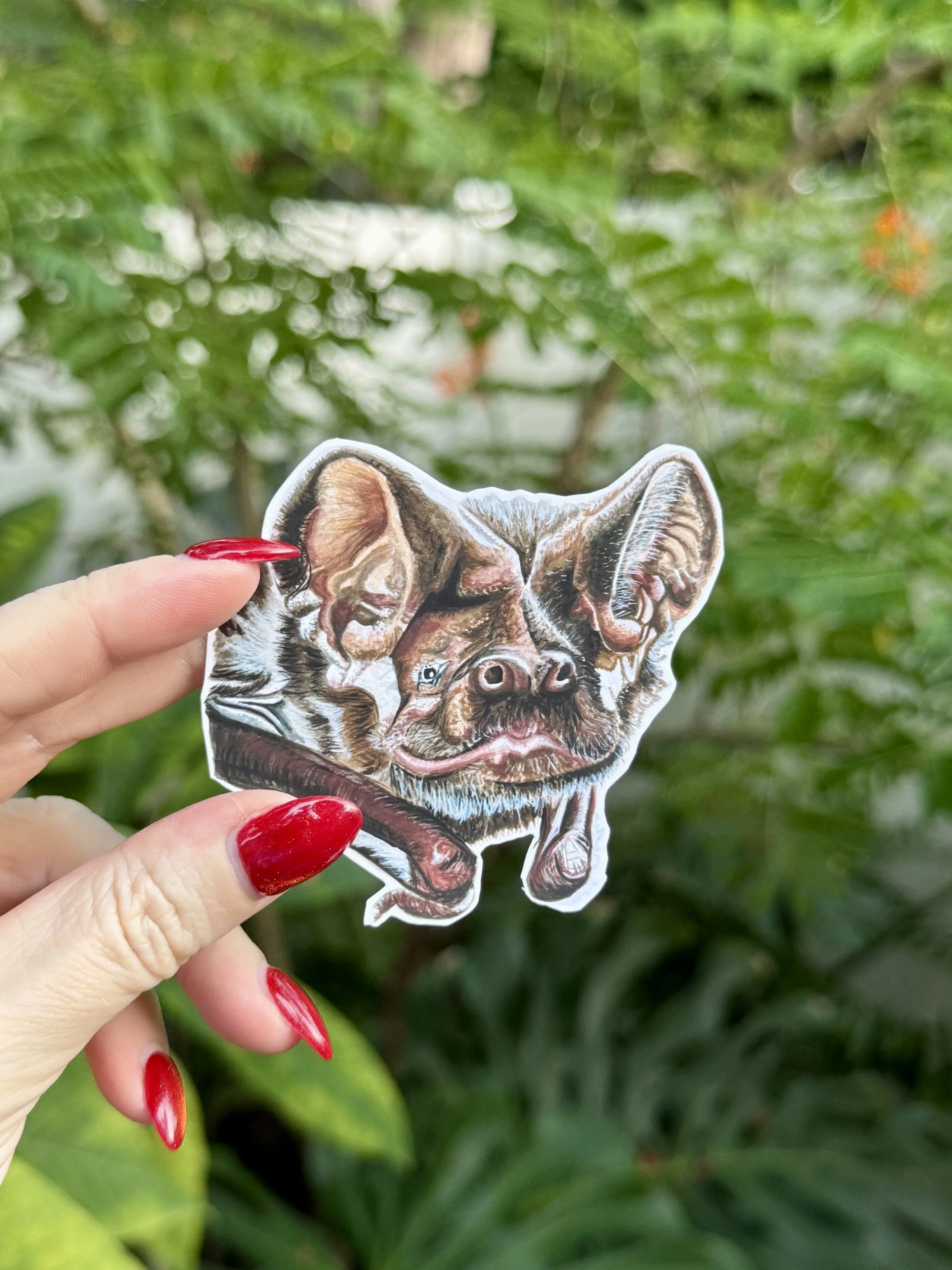 Florida Bonneted Bat Sticker