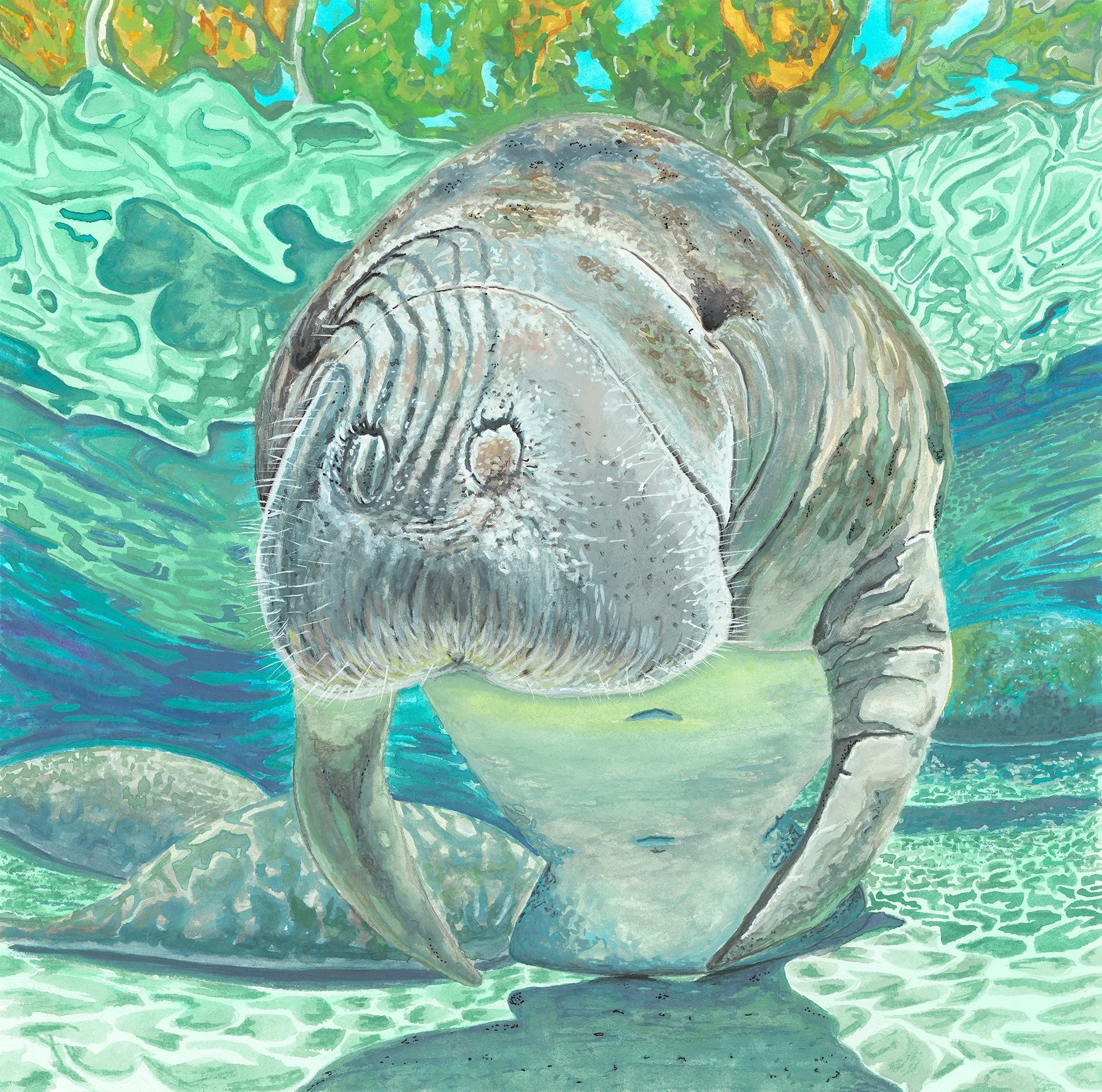 'Floating with Manatees', 9x9", Gouache on Hot Press Paper