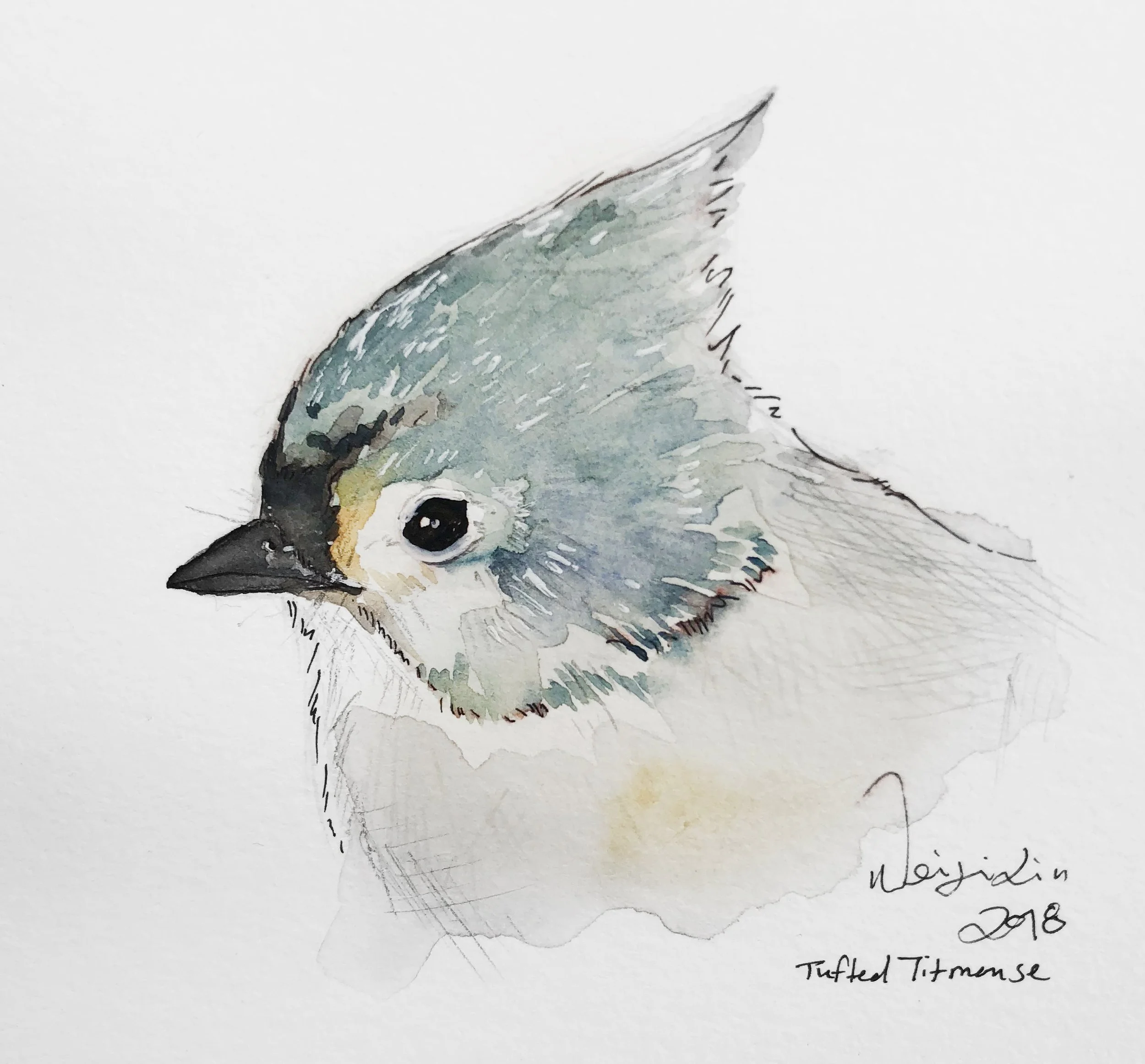 "Tufted titmouse" 6x6 -sold