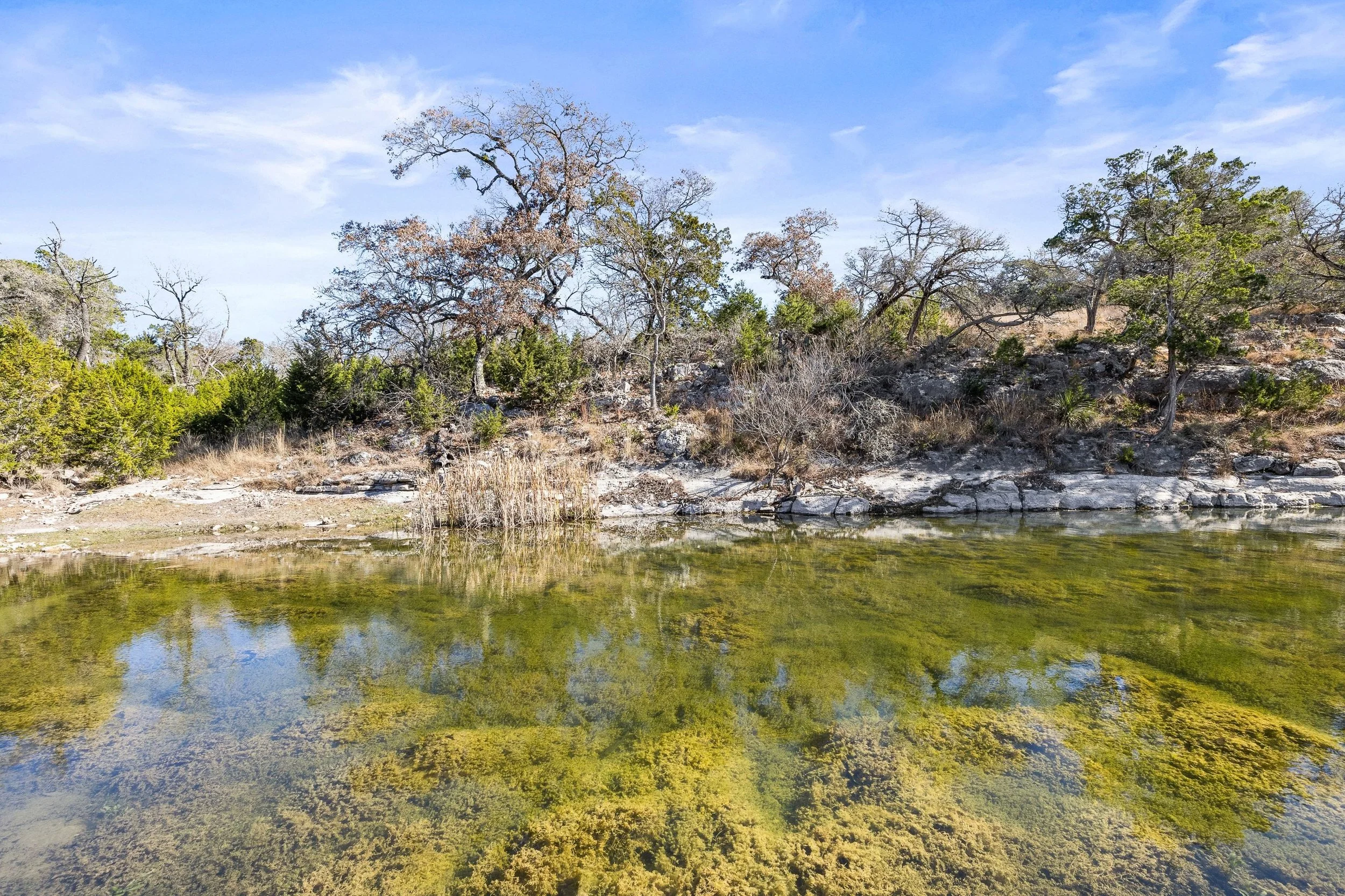 A tranquil pond with clear greenish water reflecting the trees on its shoreline, set against a partly cloudy blue sky.