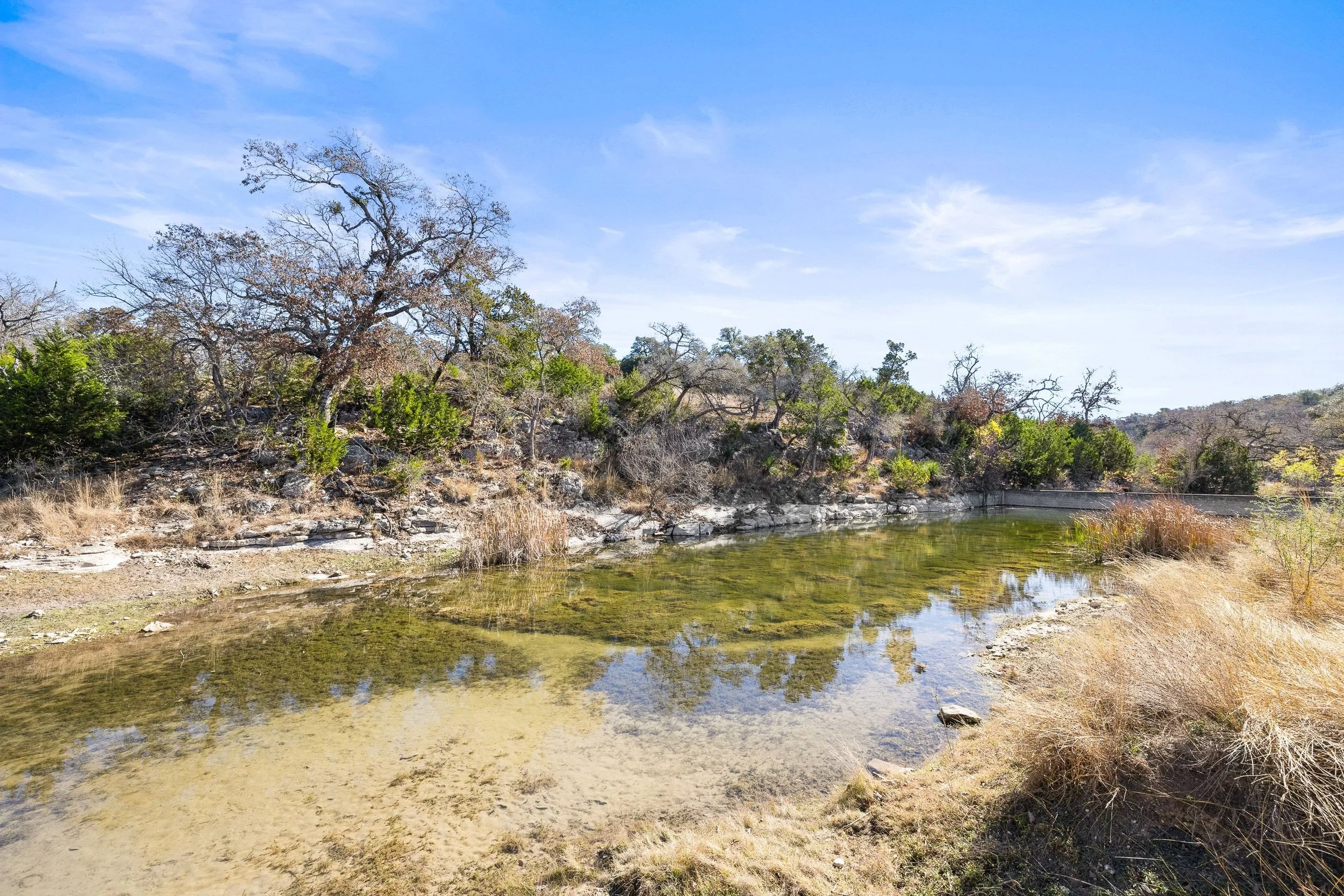 A riverbed with grass and shrubs, surrounded by leafless and green trees under a blue sky.