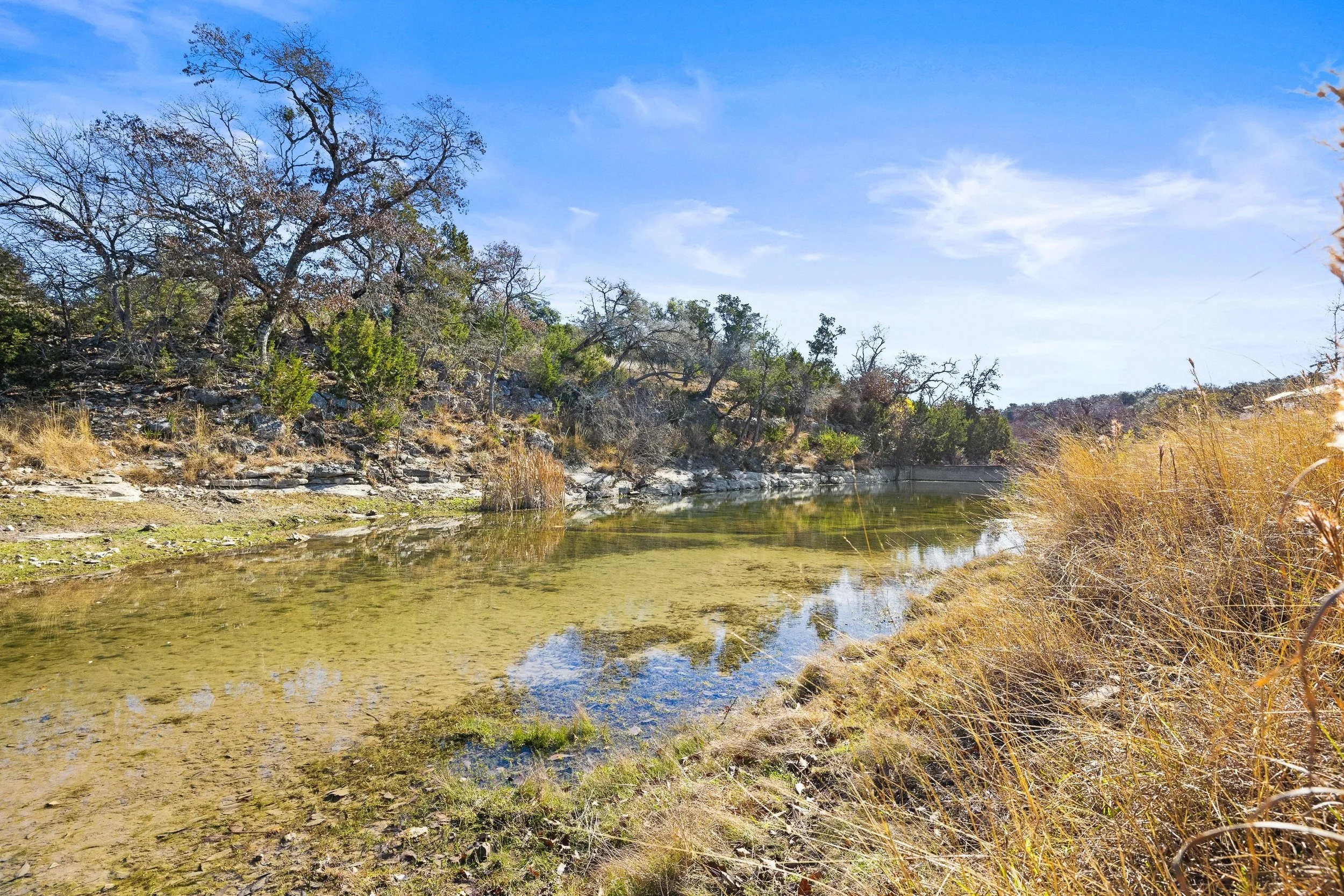 A calm pond with clear water flowing through a natural landscape, surrounded by grasses and trees under a bright blue sky.