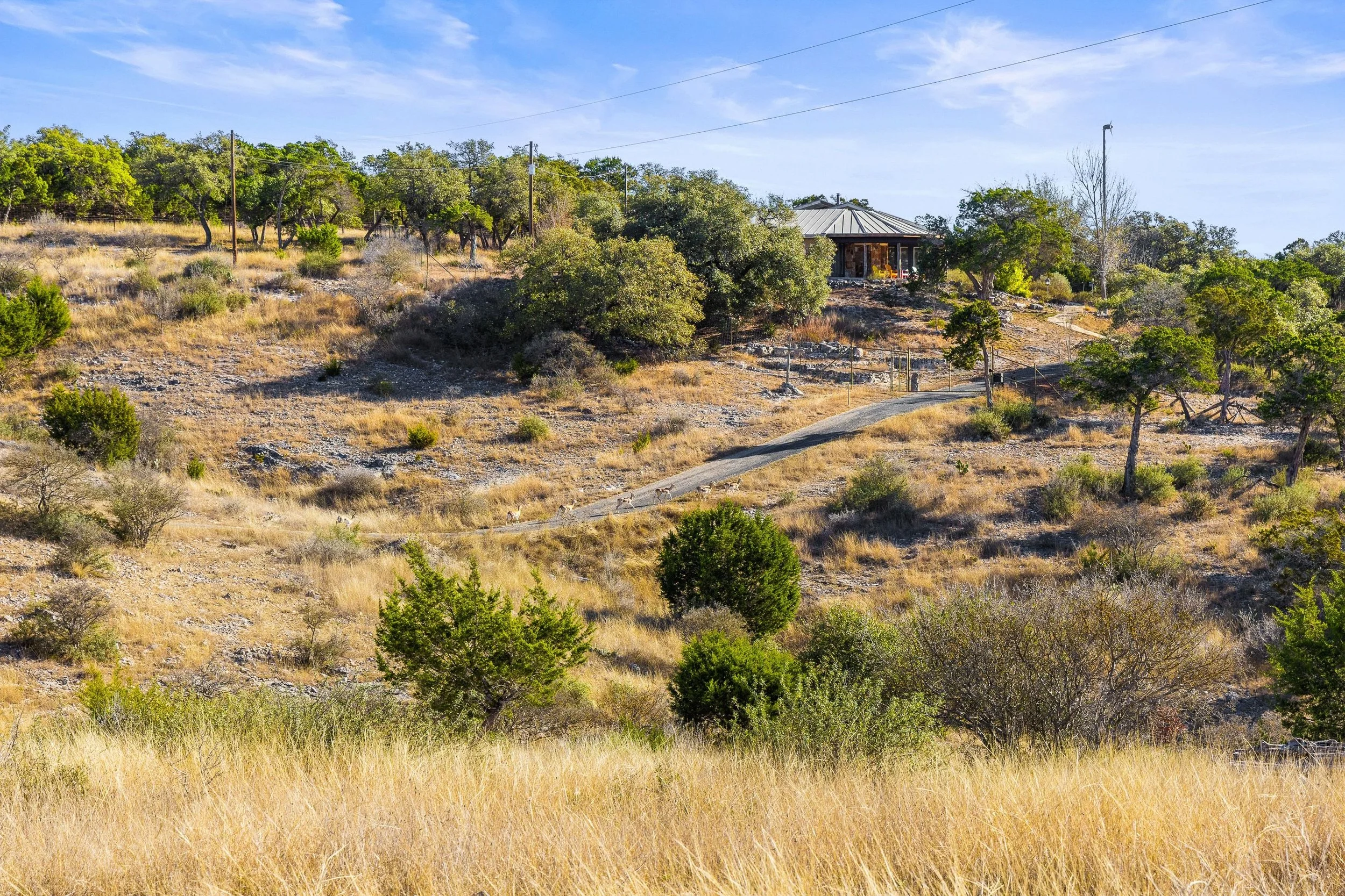 A house on a hill surrounded by trees and dry grass, with a winding path leading up to it on a bright, clear day.
