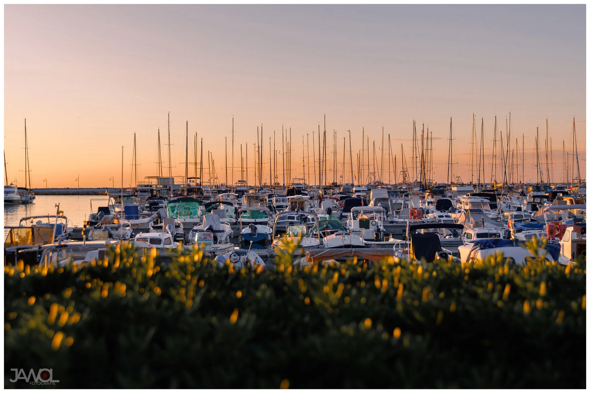 Ein Hafen bei Sonnenuntergang mit vielen Booten und Jollen, im Vordergrund eine unscharfe Hecke