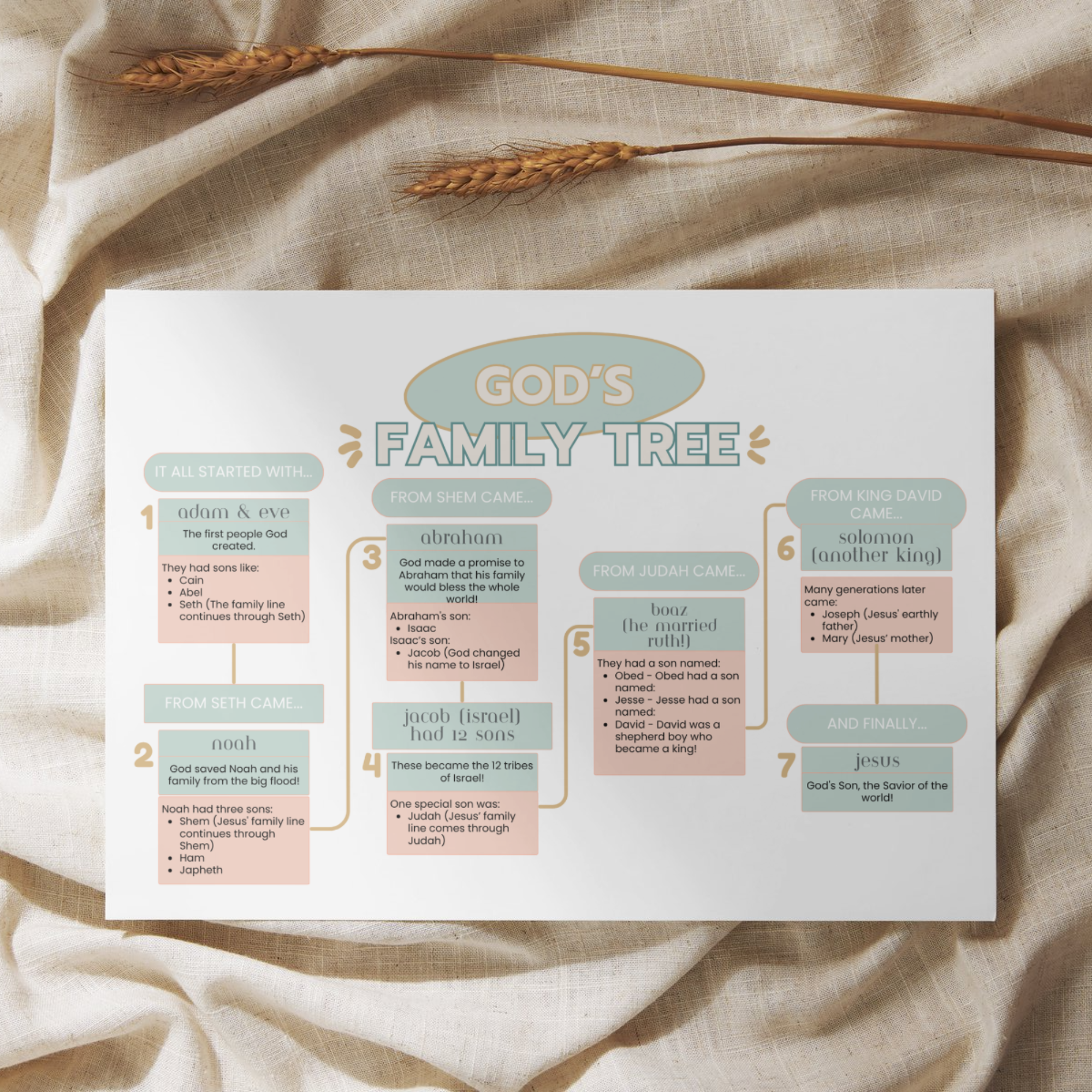 biblical family tree of Jesus Christ printable for homeschool and church study