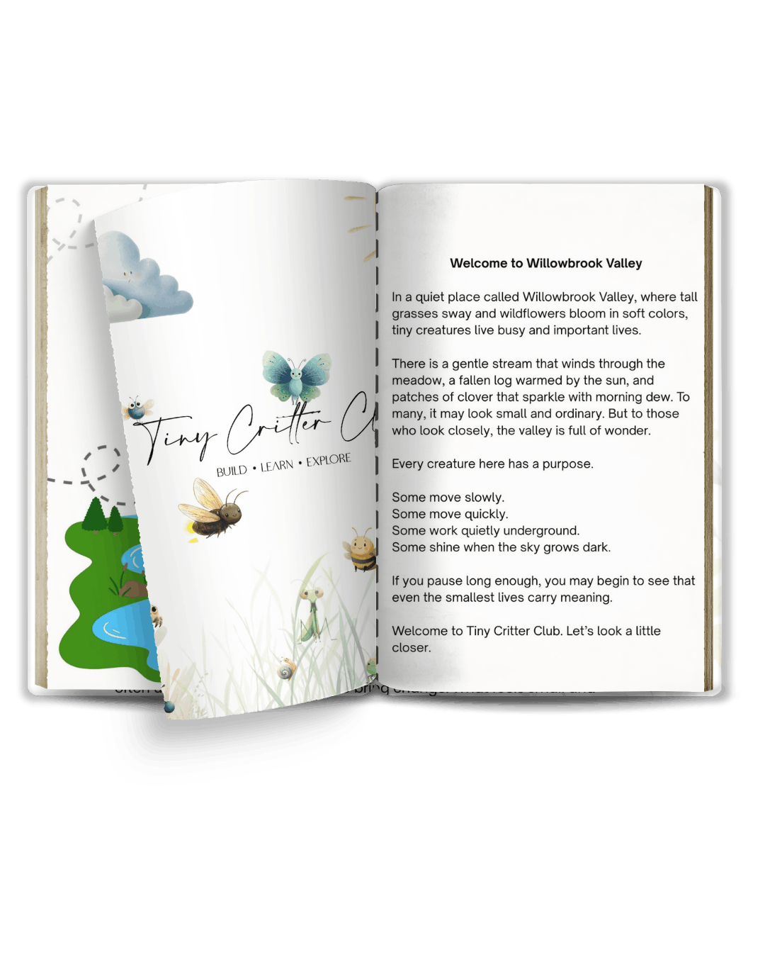 Open book titled 'Tiny Critter Club' with illustrations of butterflies, a bee, and a snail on the pages.