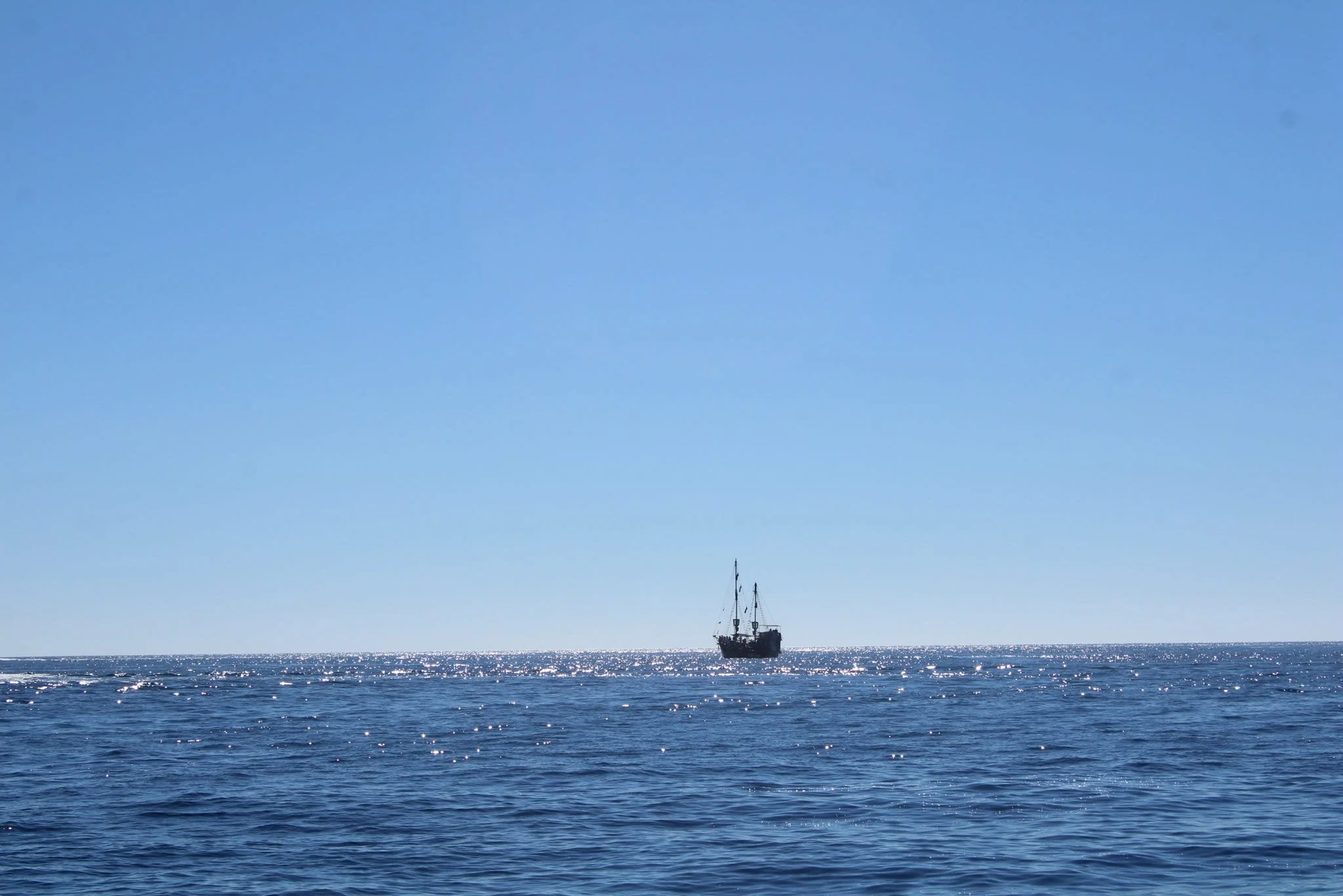 20250313_112824_50BA74 2.JPEG