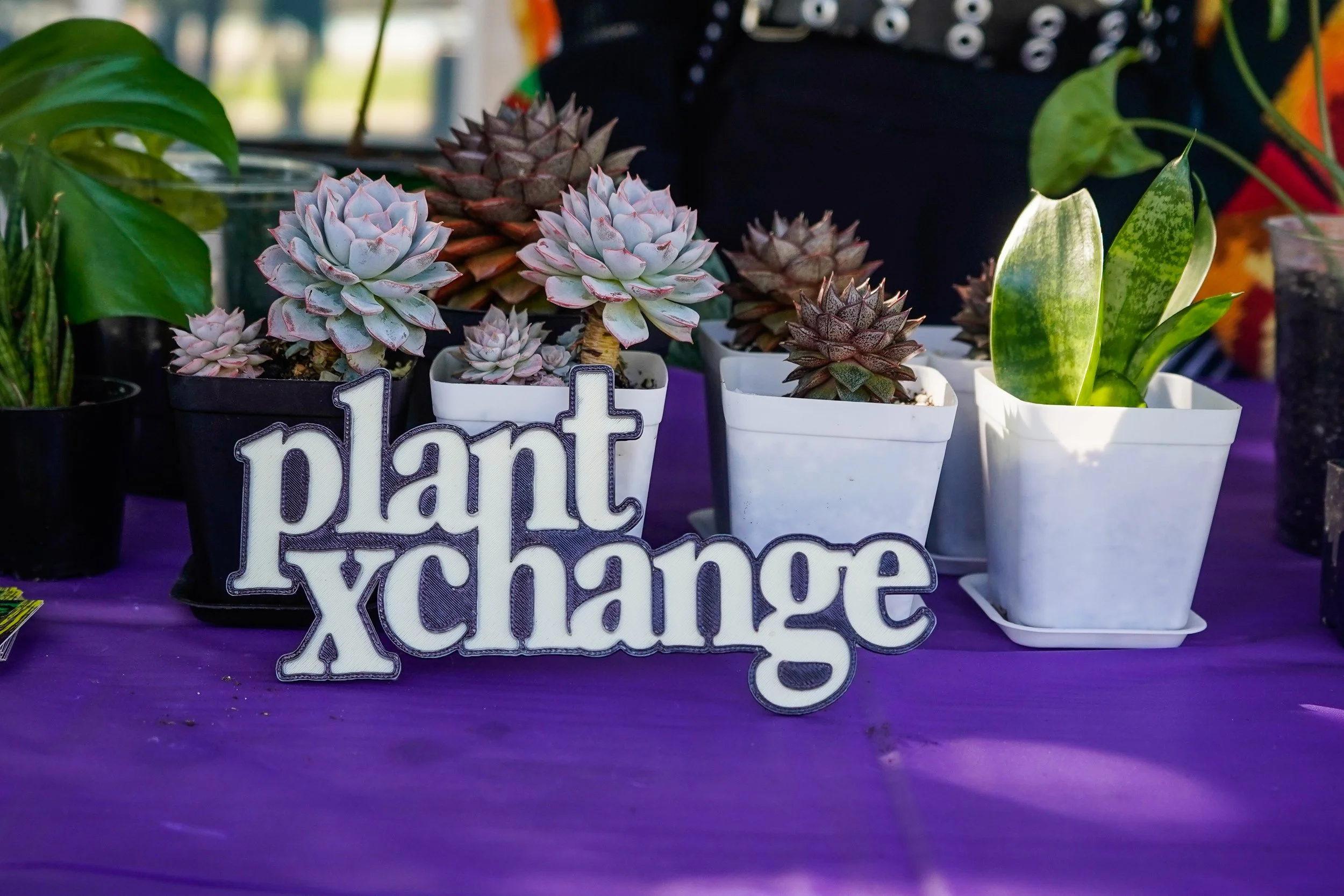 Several potted succulents and plants on a purple table with a sign that reads 'plant xchange' in front of them.