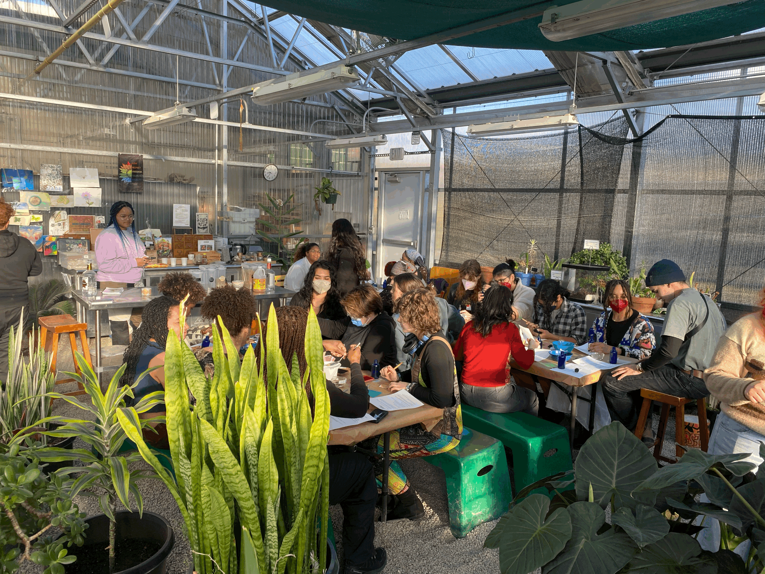 Ethnobotany 101 (2 hours)