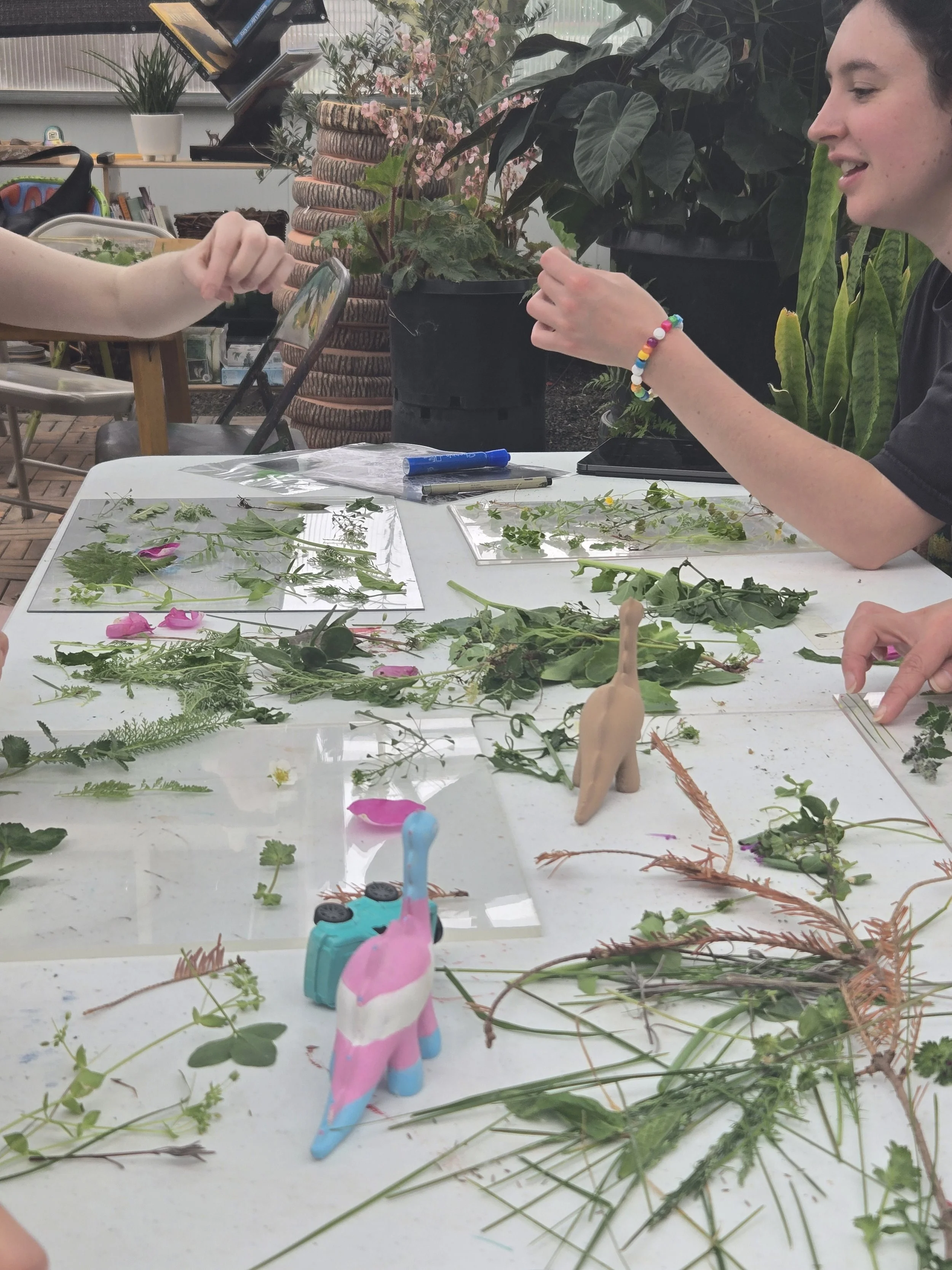 Botanical Cyanotypes (1 hour)
