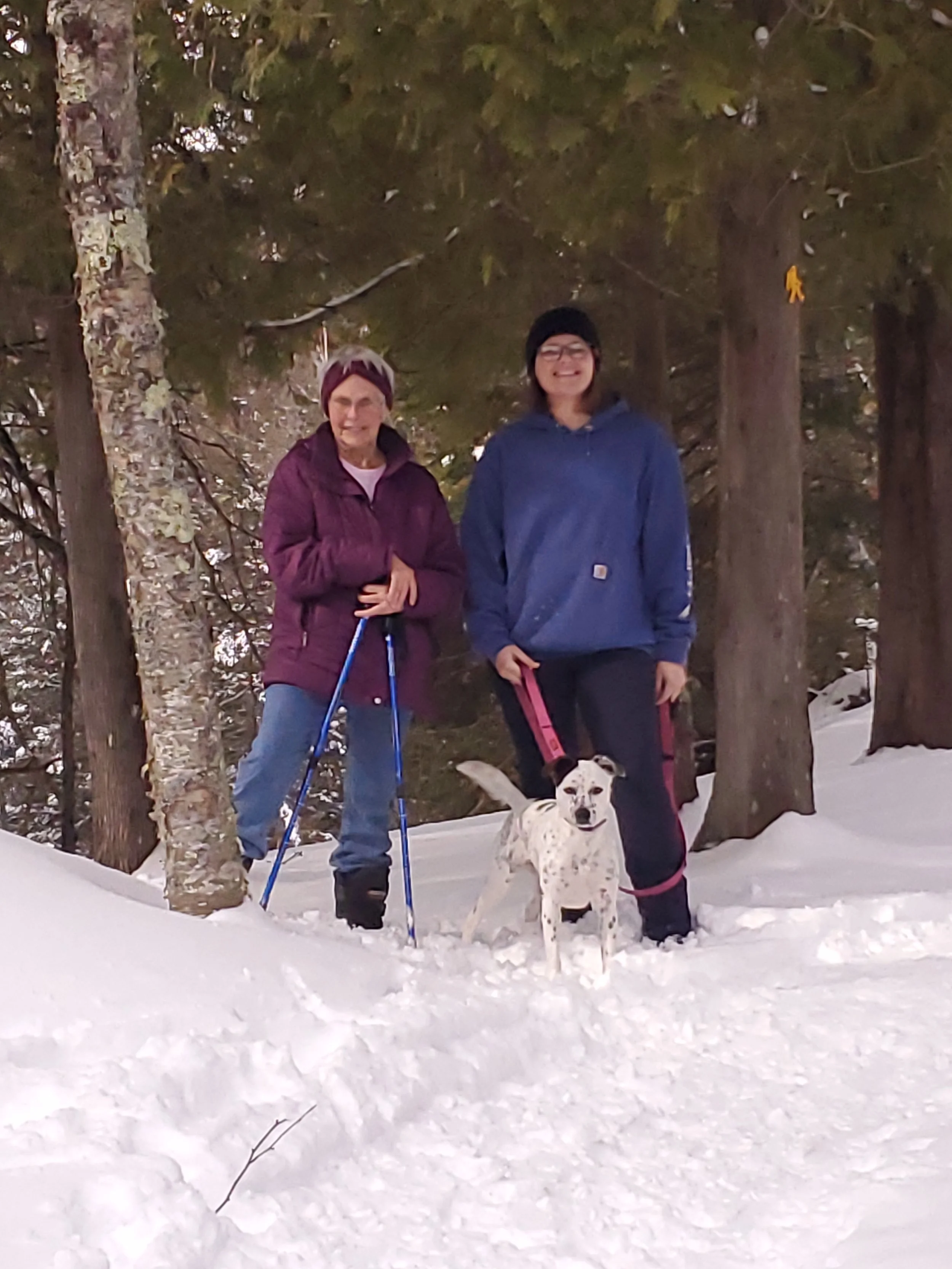 2023-03-04 11.41.08-1.jpg