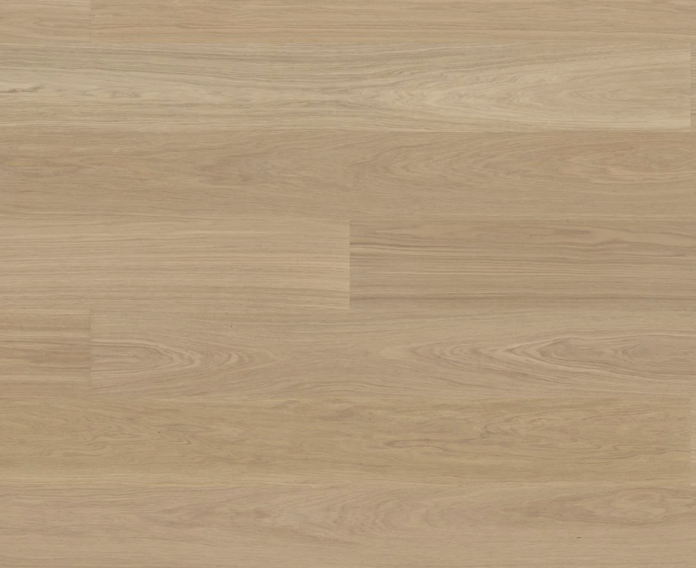 Screenshot 2026-01-05 at 11.12.24 AM.png