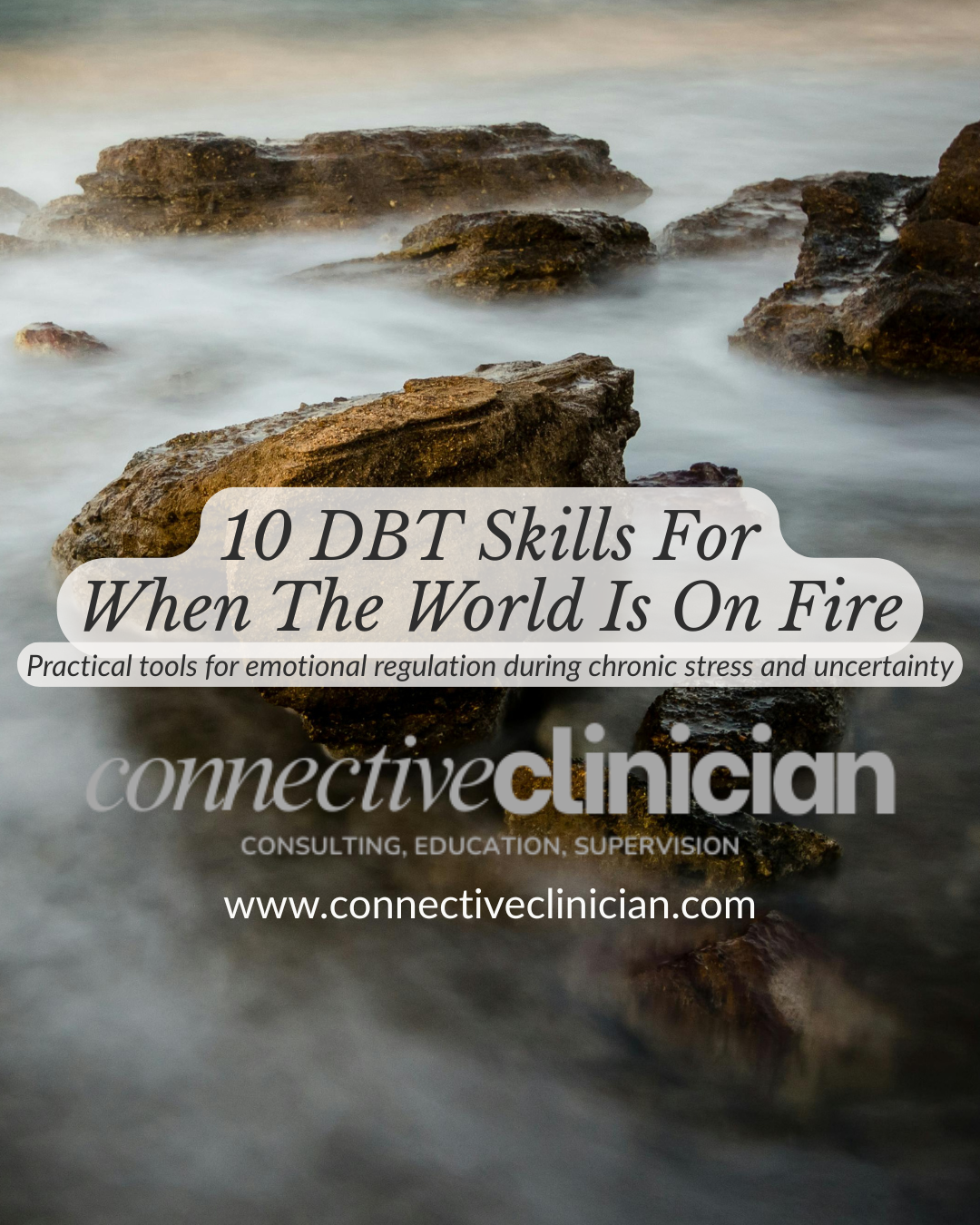10 DBT Skills For When The World Is On Fire (1.5 Credit CE) 3/27/26