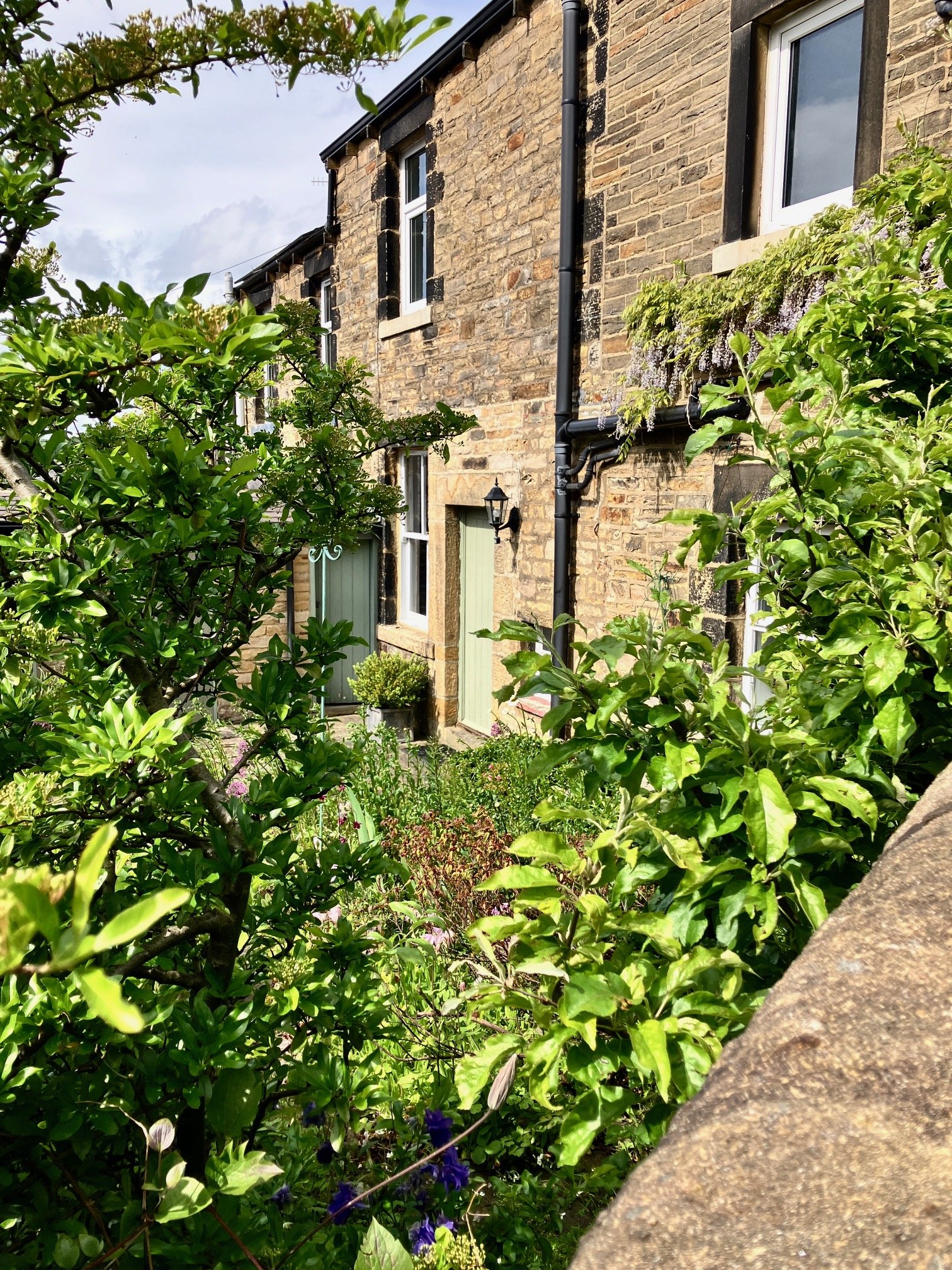 A view of Green Gable which is a stone house with windows and a green door surrounded by lush green bushes and plants and a pale blue sky overhead.