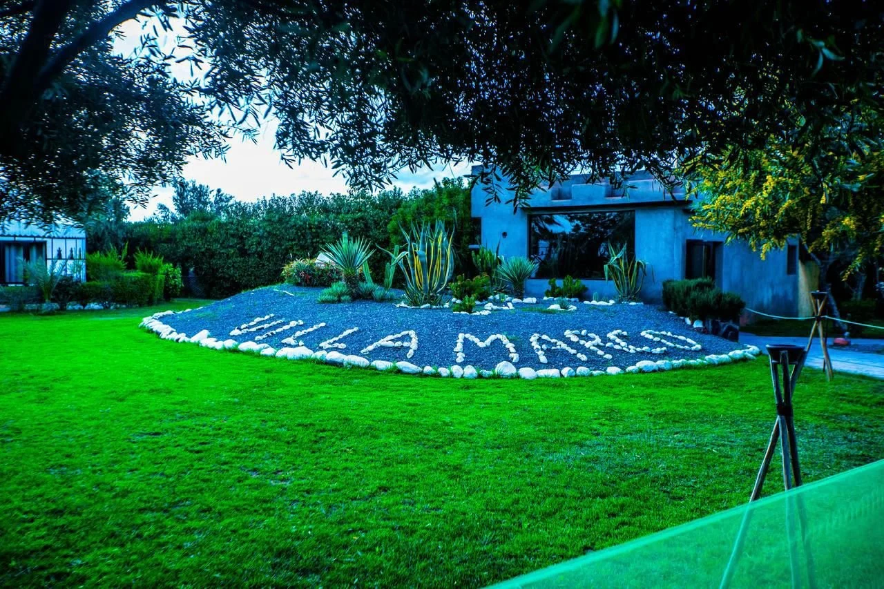 PHOTO-2026-01-15-15-17-56 copy 2.jpg