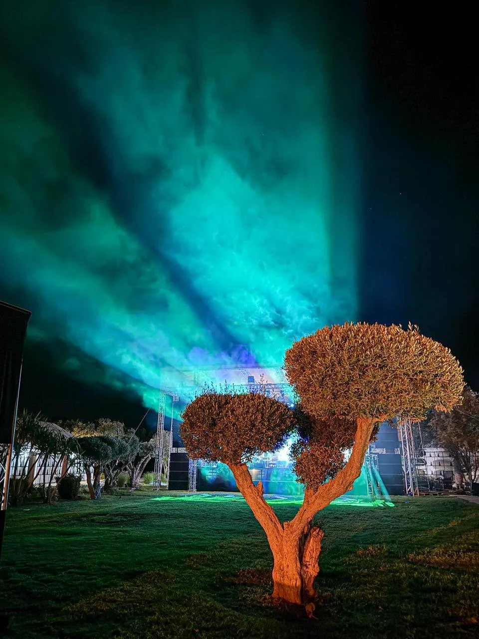 PHOTO-2026-01-15-15-17-57 copy 3.jpg