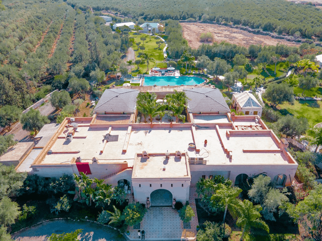 Edited_PHOTO-2026-01-15-15-26-38 3.png