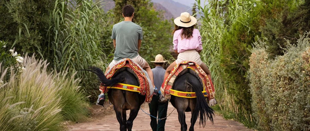 Atlas Mountains1.jpg