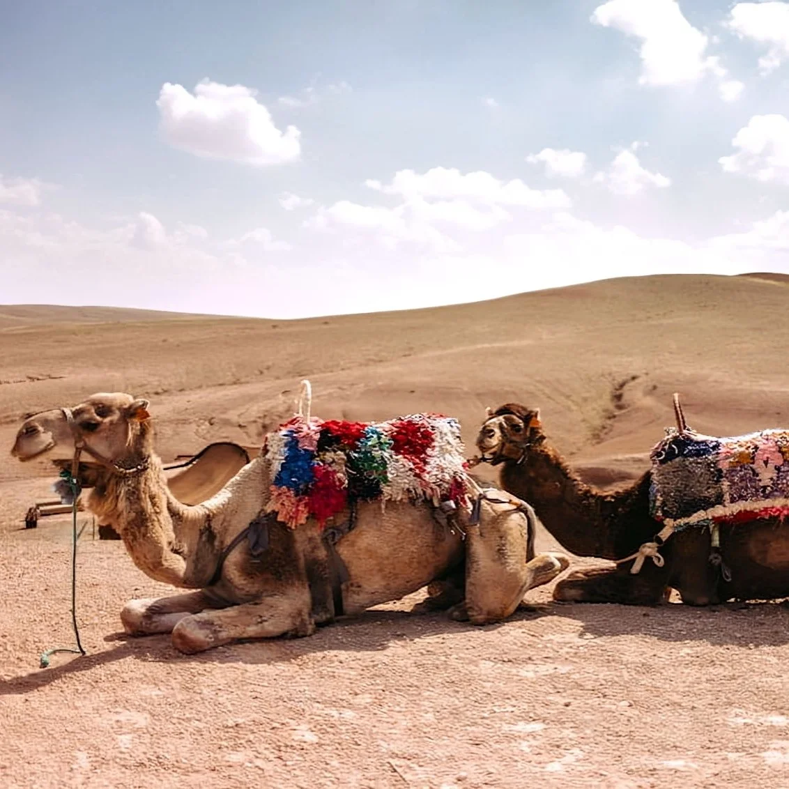 Excursion to Agafay Desert