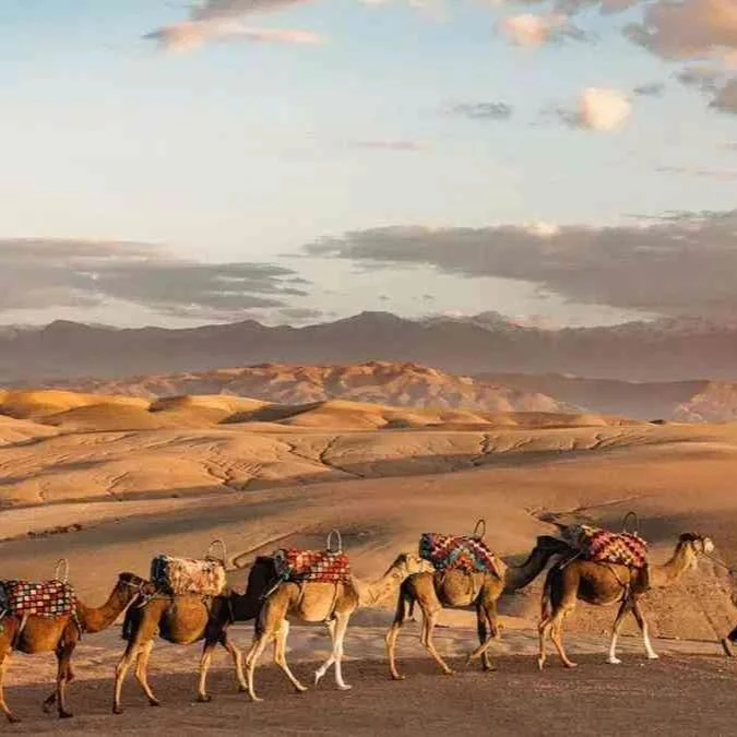Excursion to Agafay Desert