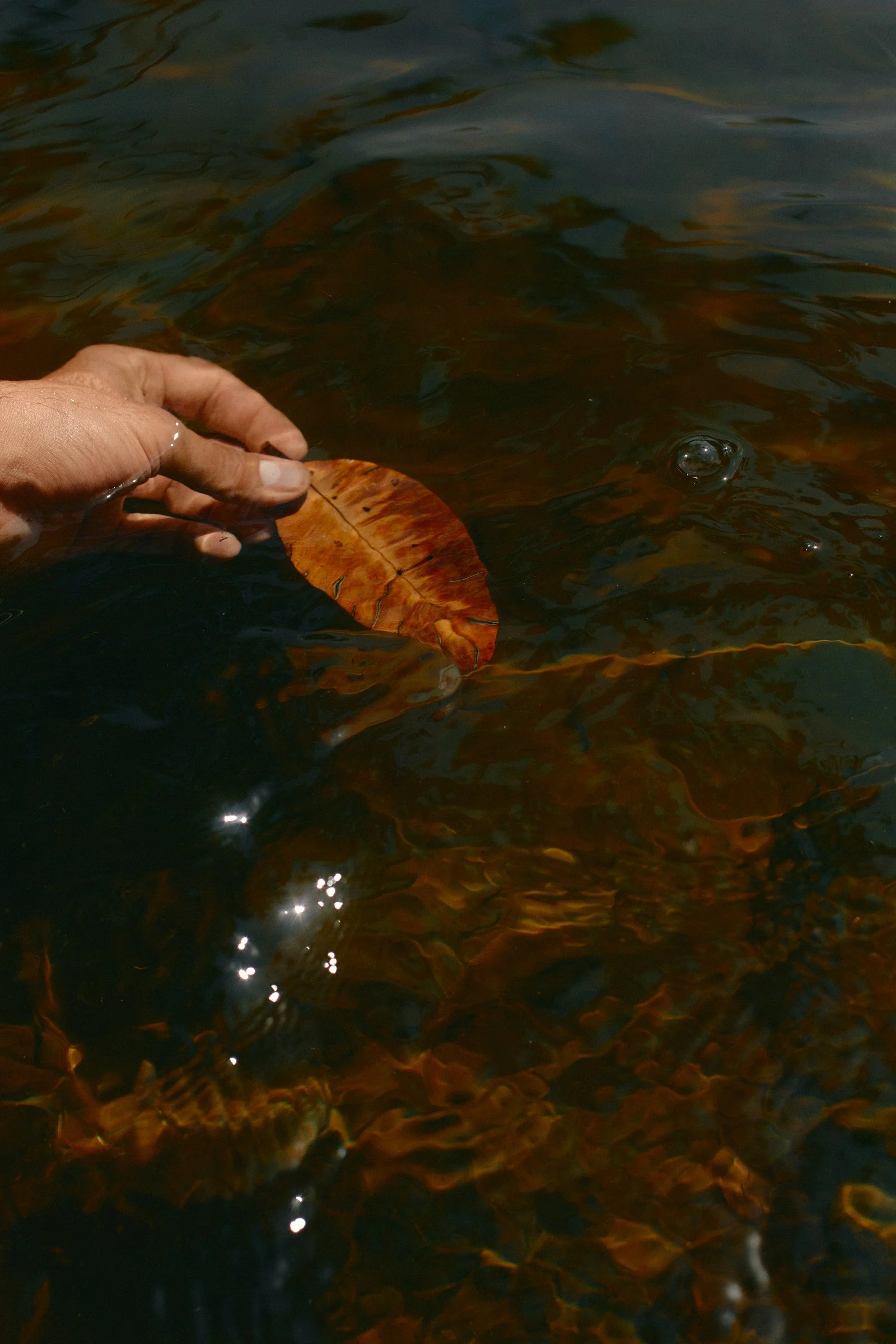 DTS_BY_WATER_Daniel_Farò_Photo_ID7945.jpg