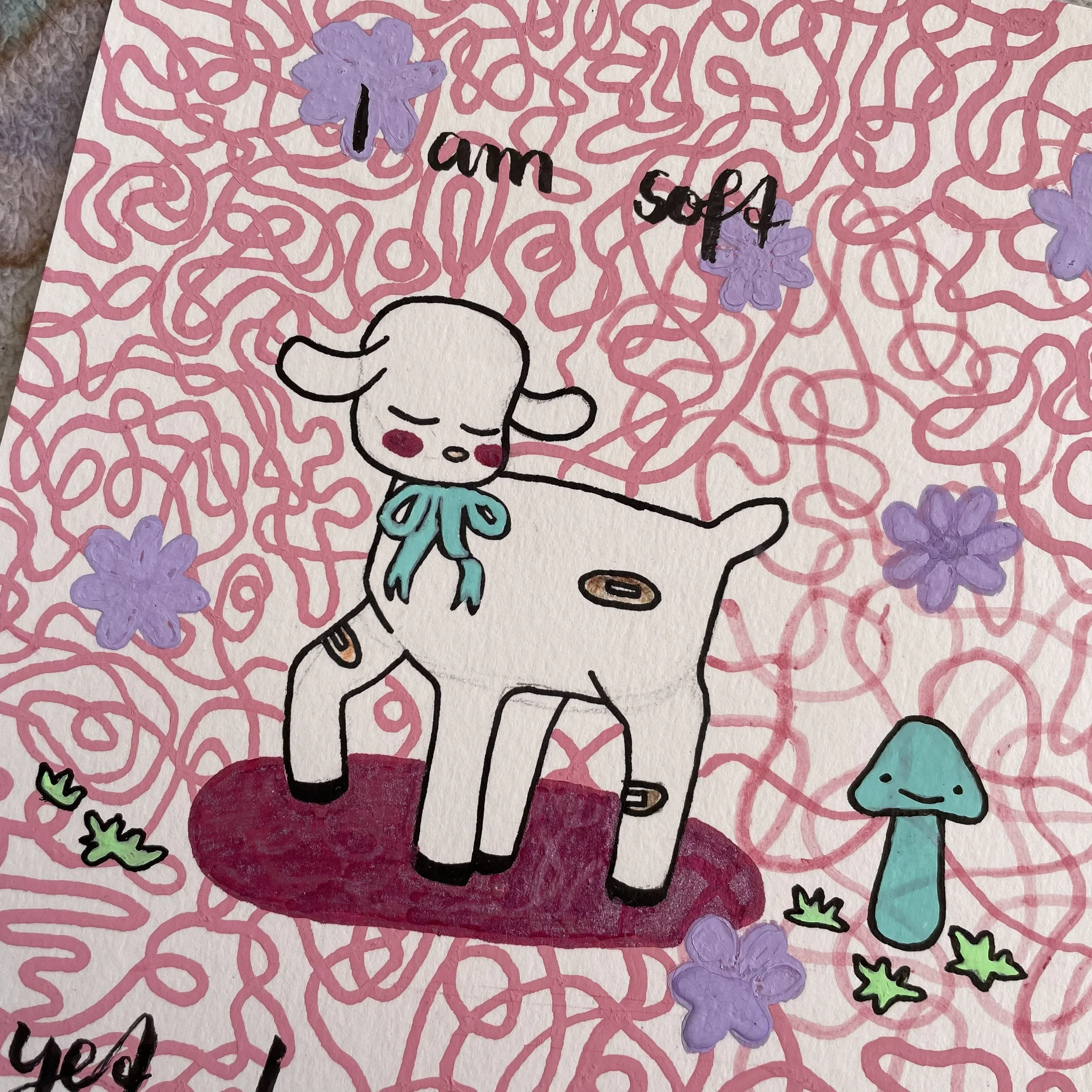 soft lamb closeup.jpeg