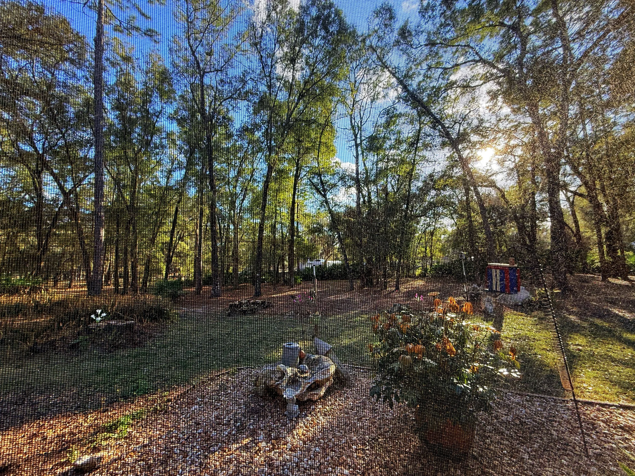 View from lanai (enclosed porch)