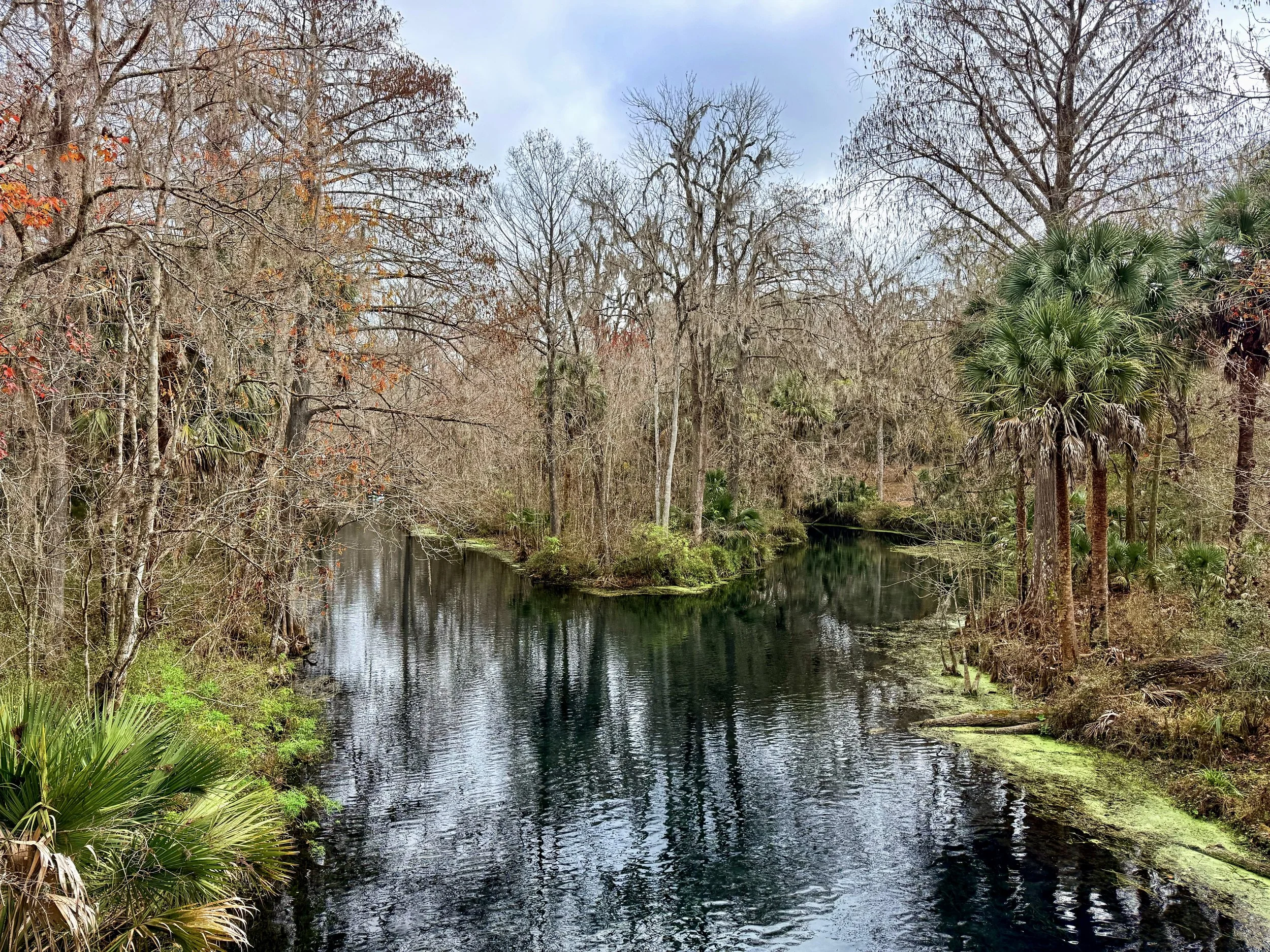 Silver Springs, Florida