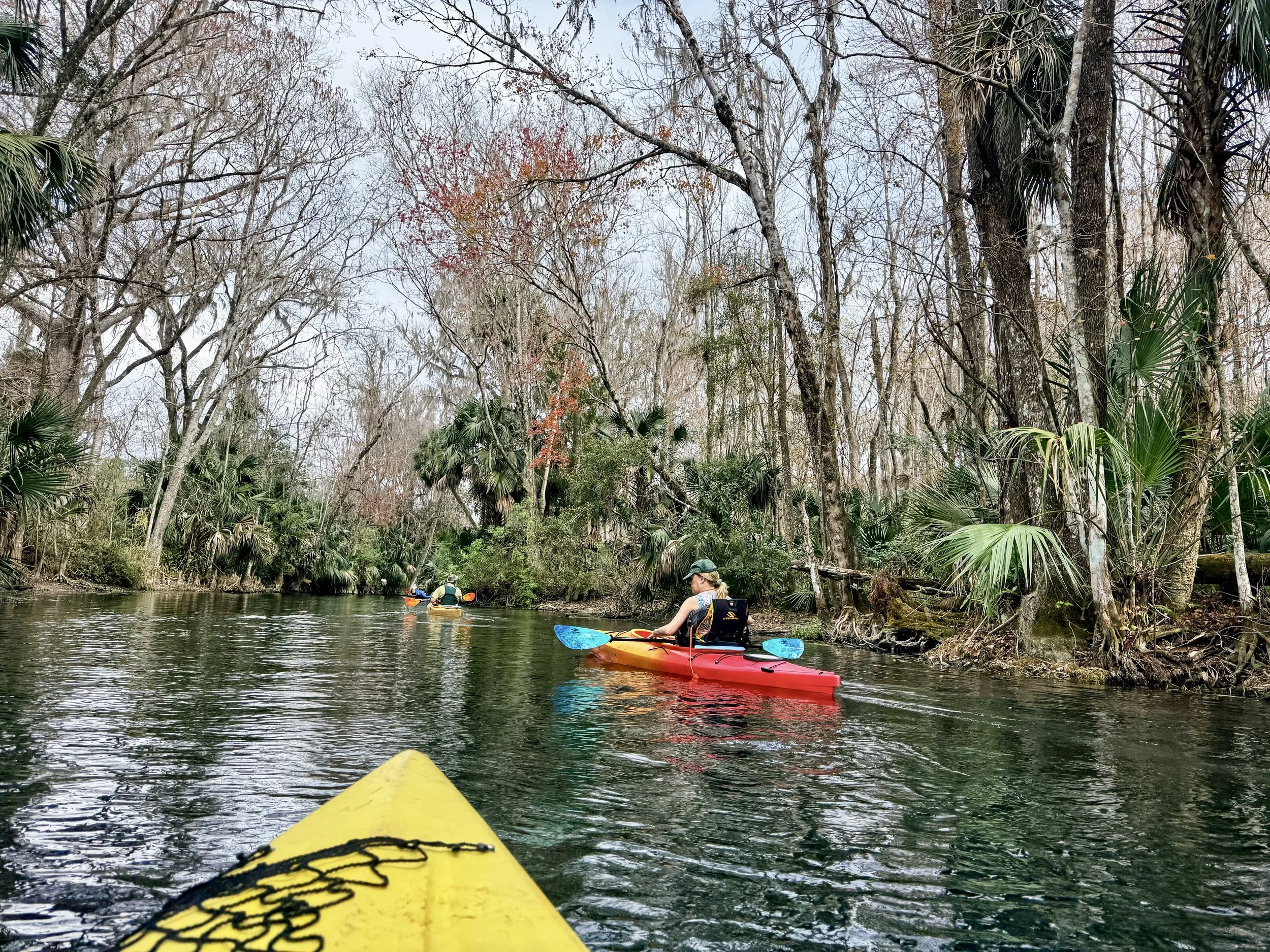 Kayaking on Silver Springs