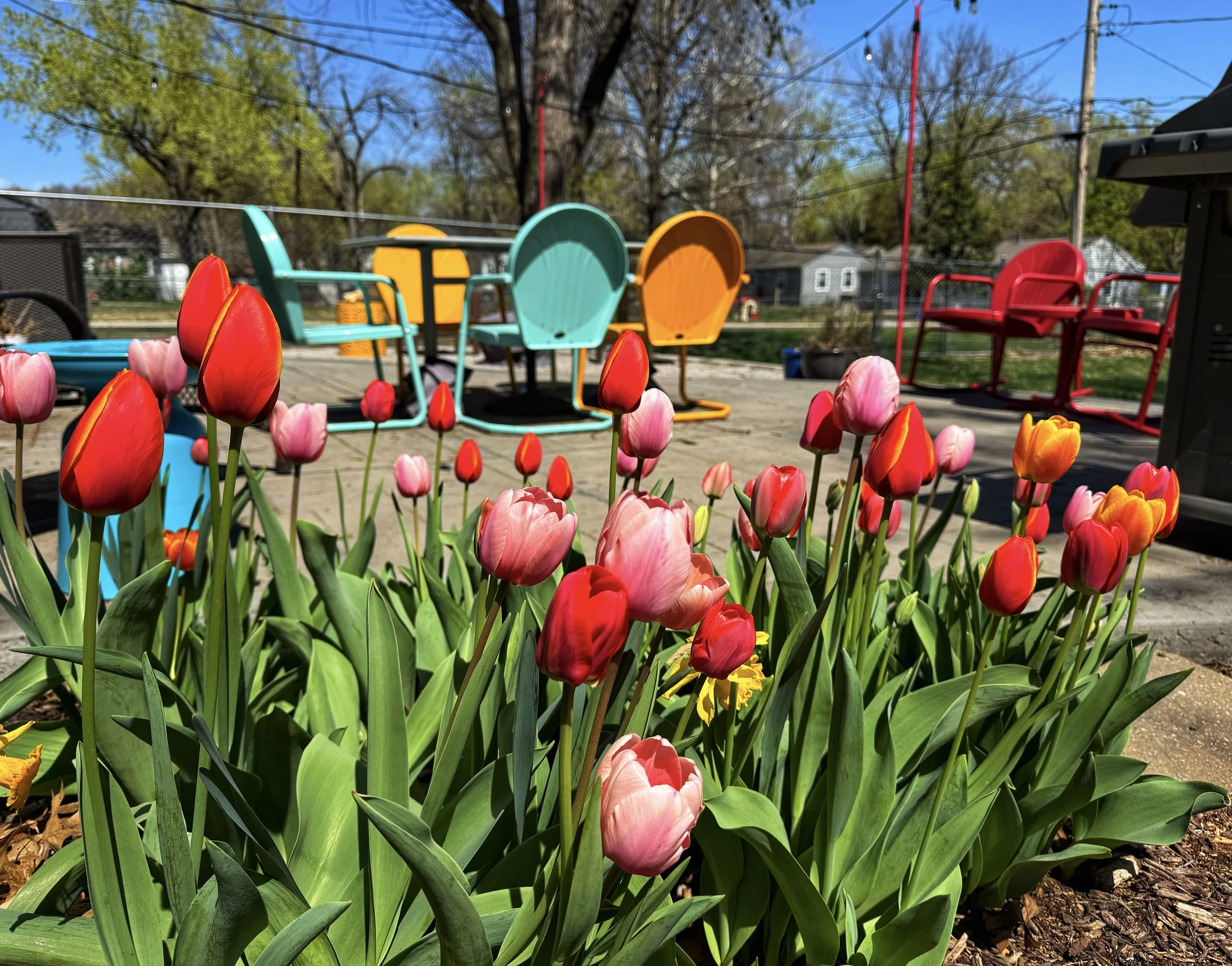 Goodbye Harvey…and Virgil and Olive, too. 