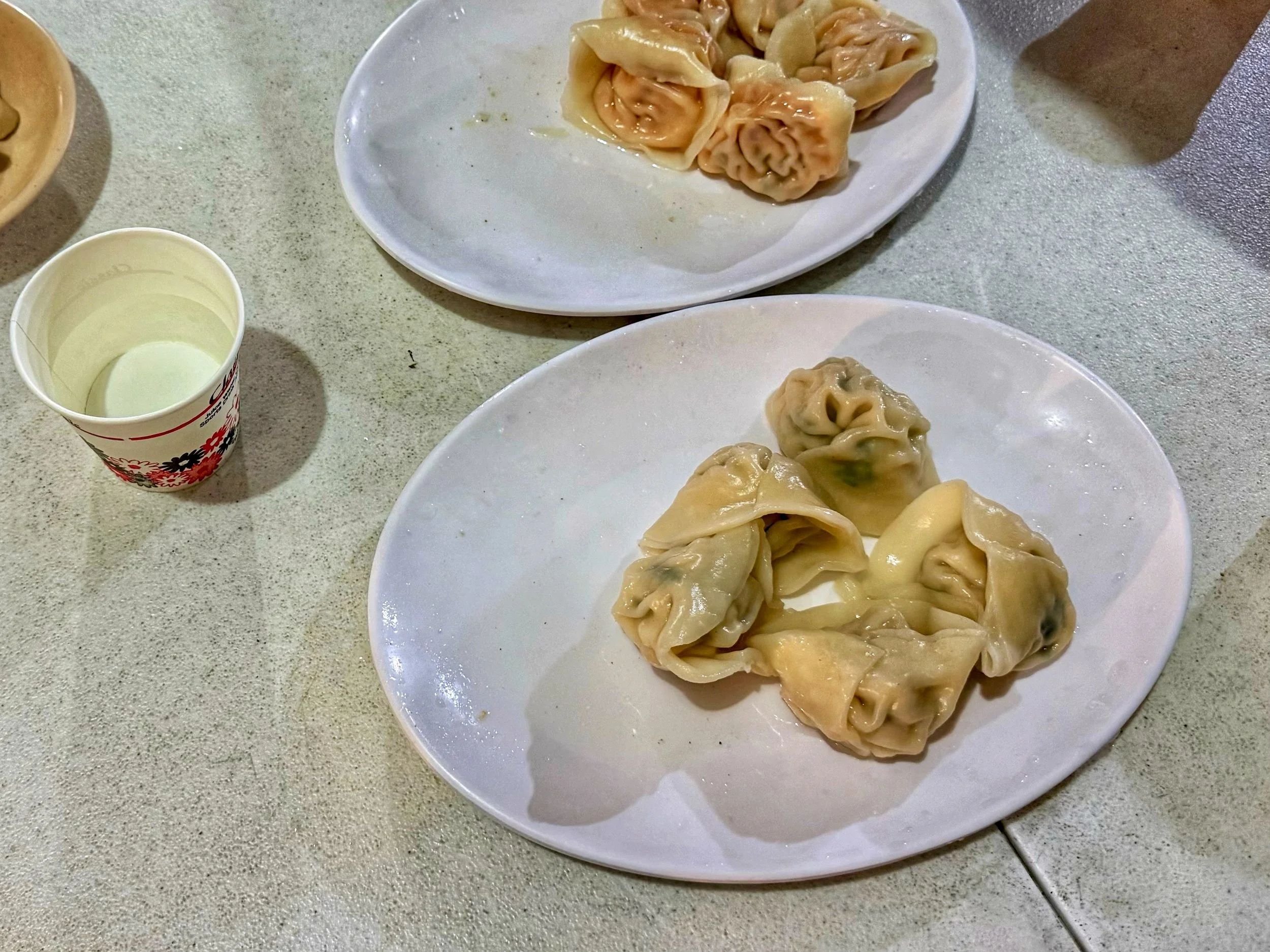 Kimchi Mandu / Gogi Mandu (Kimchi Dumpling / Pork Dumpling)
