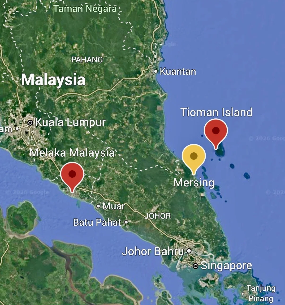 Where To Next? Inside Our Travel Decision Playbook