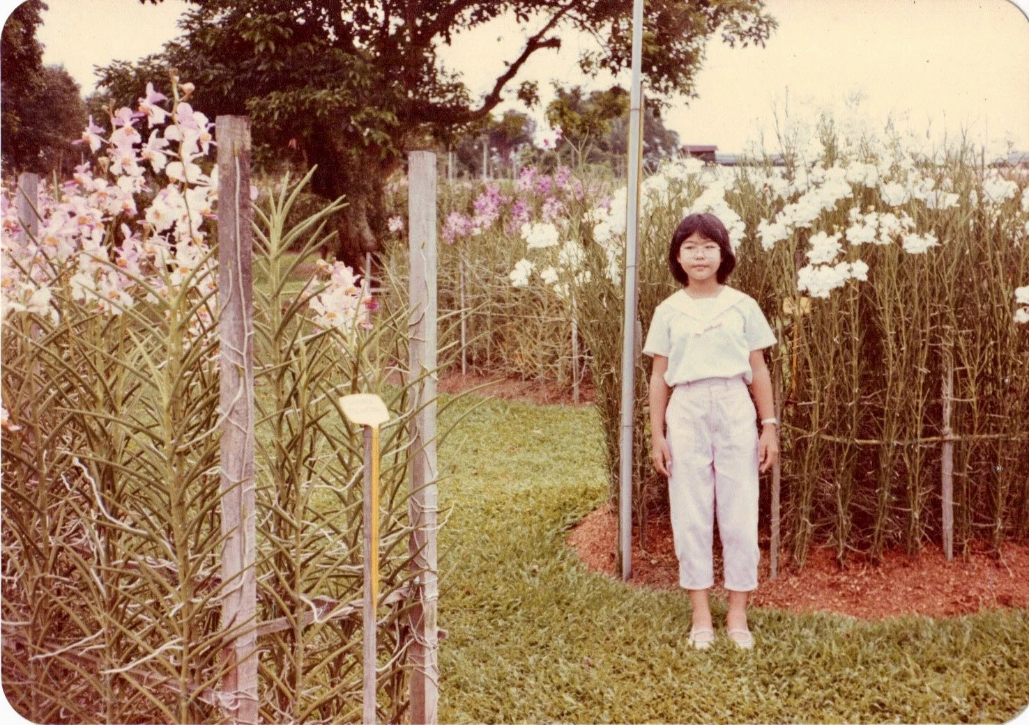 Bittersweet Singapore: Forty Years Later, Tracing My Roots