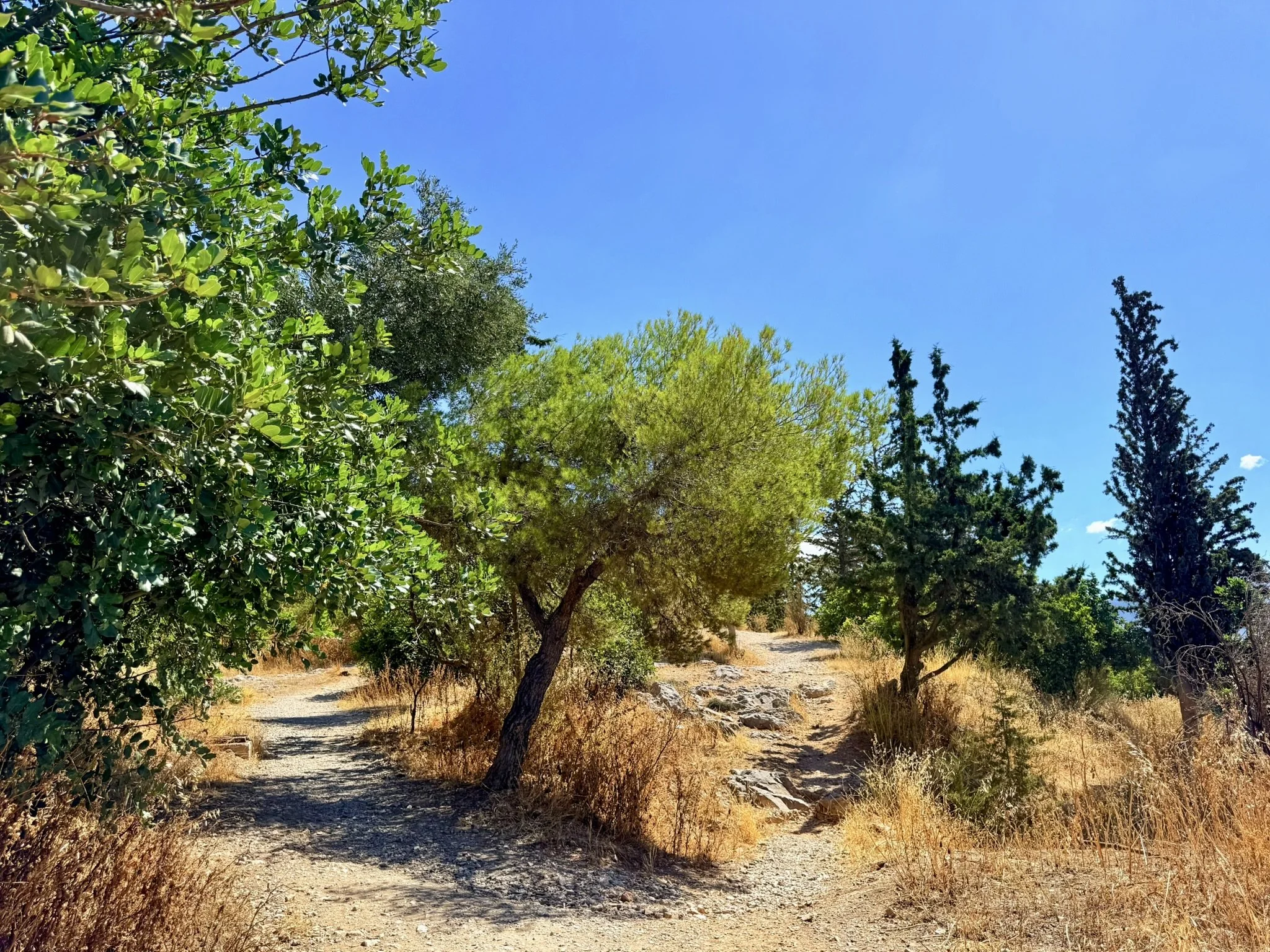 Philopappos Hill hike