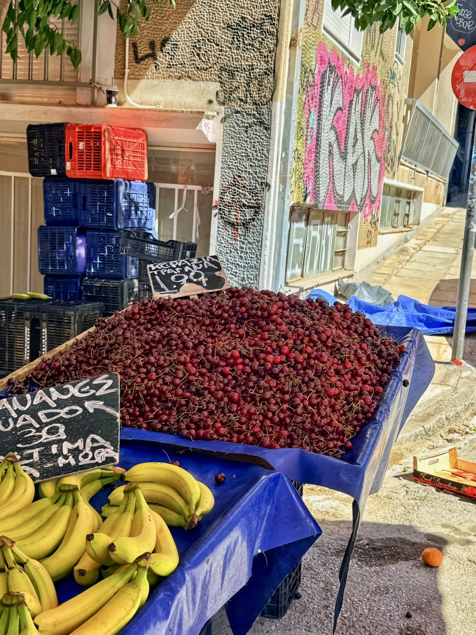 Fresh cherries!